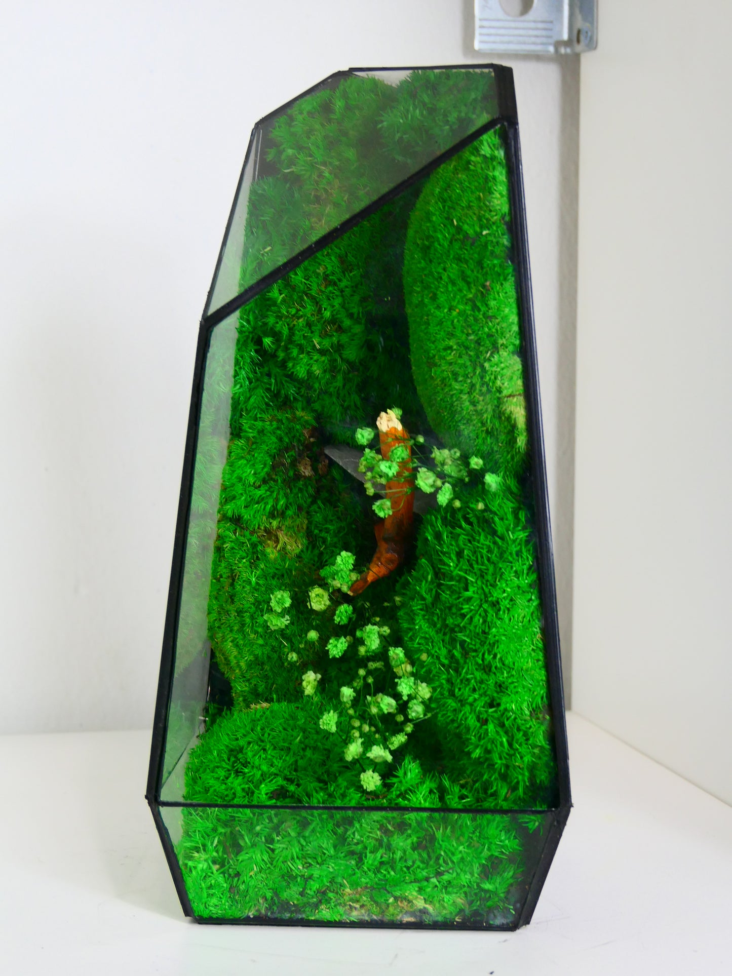 Terrarium T-149 🌱 terrario di vetro terrario piante terrario
