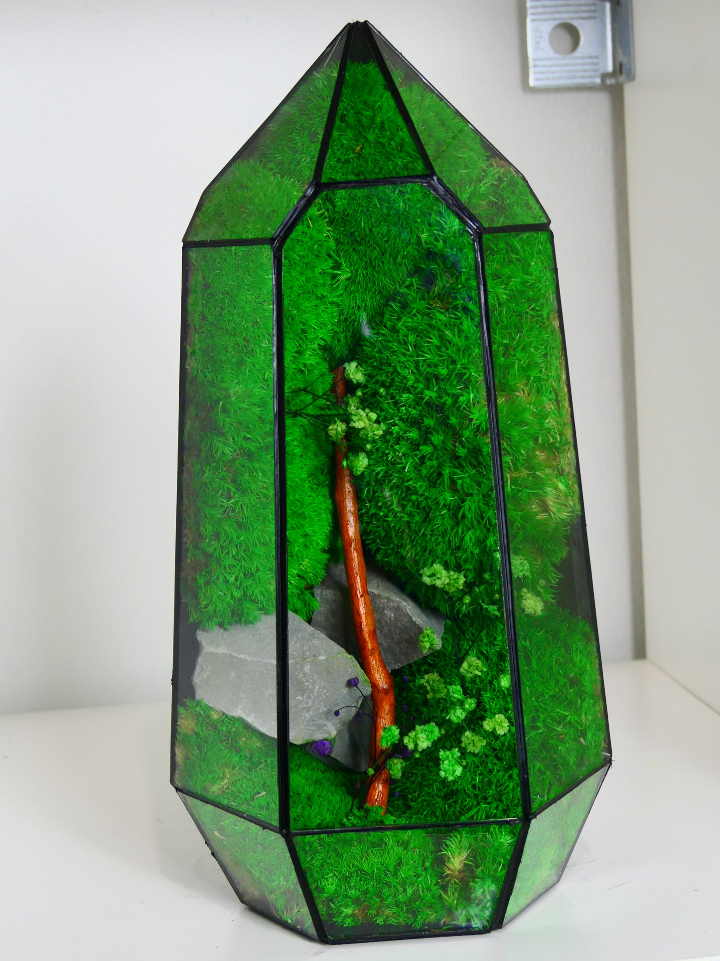 Terrarium T-136 🌱 terrario di vetro terrario piante terrario