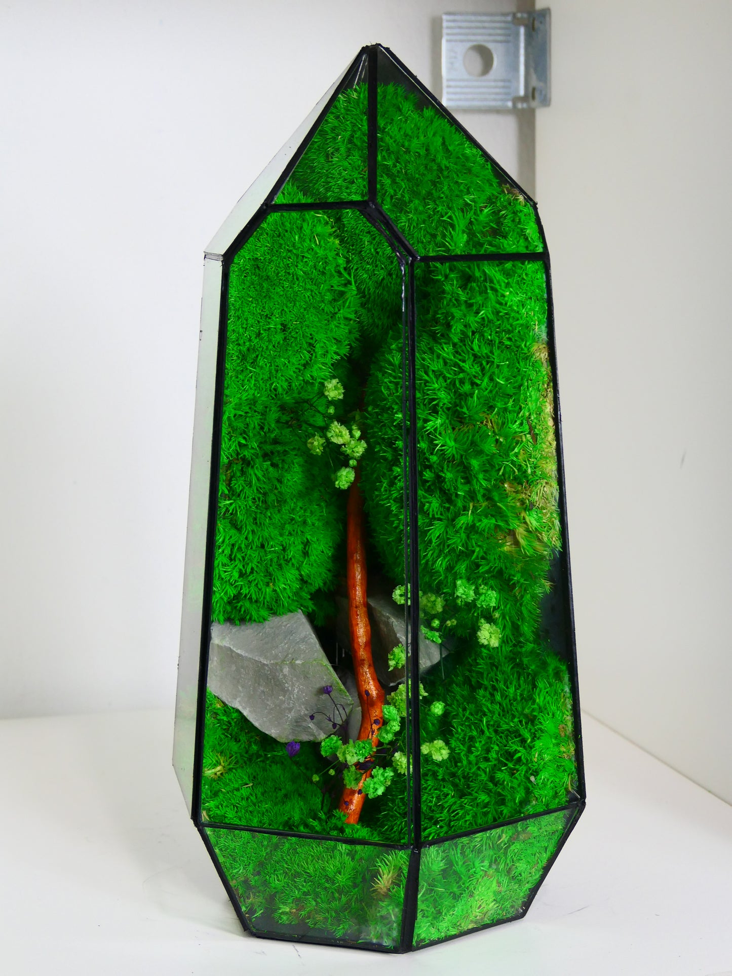 Terrarium T-136 🌱 terrario di vetro terrario piante terrario