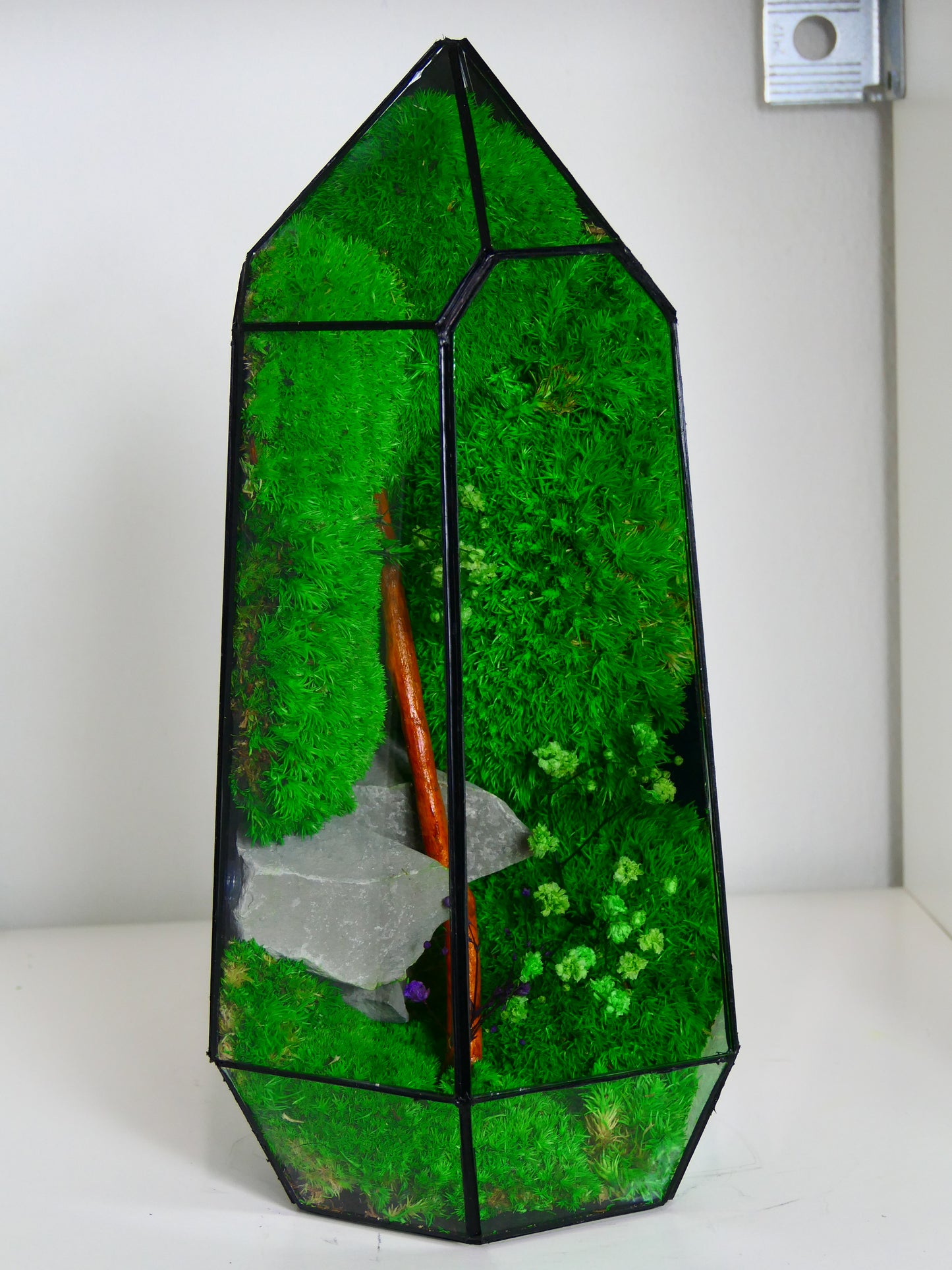 Terrarium T-136 🌱 terrario di vetro terrario piante terrario