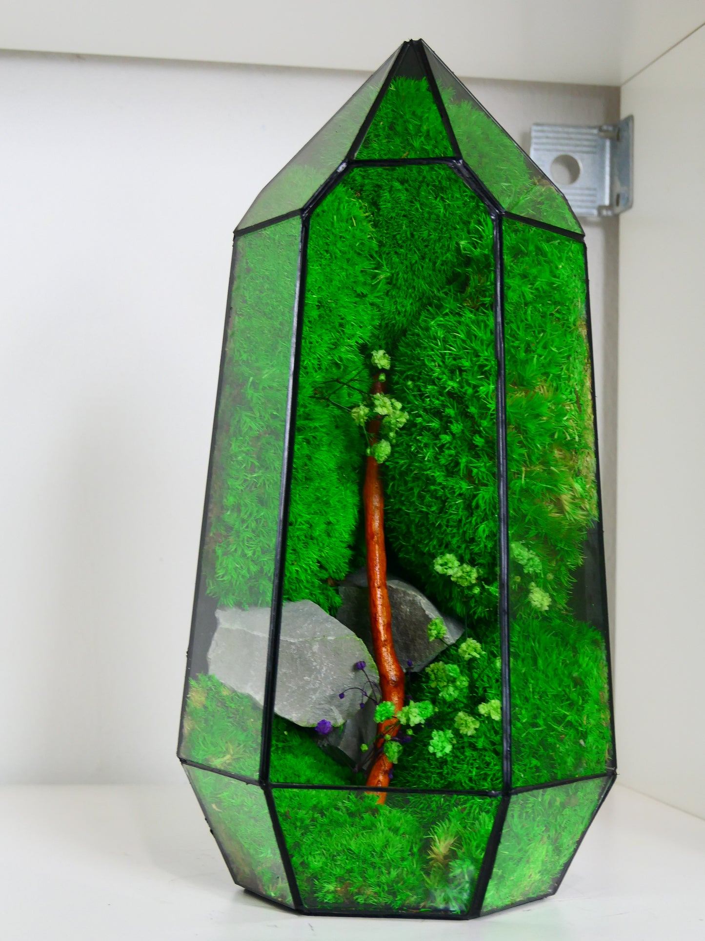 Terrarium T-136 🌱 terrario di vetro terrario piante terrario