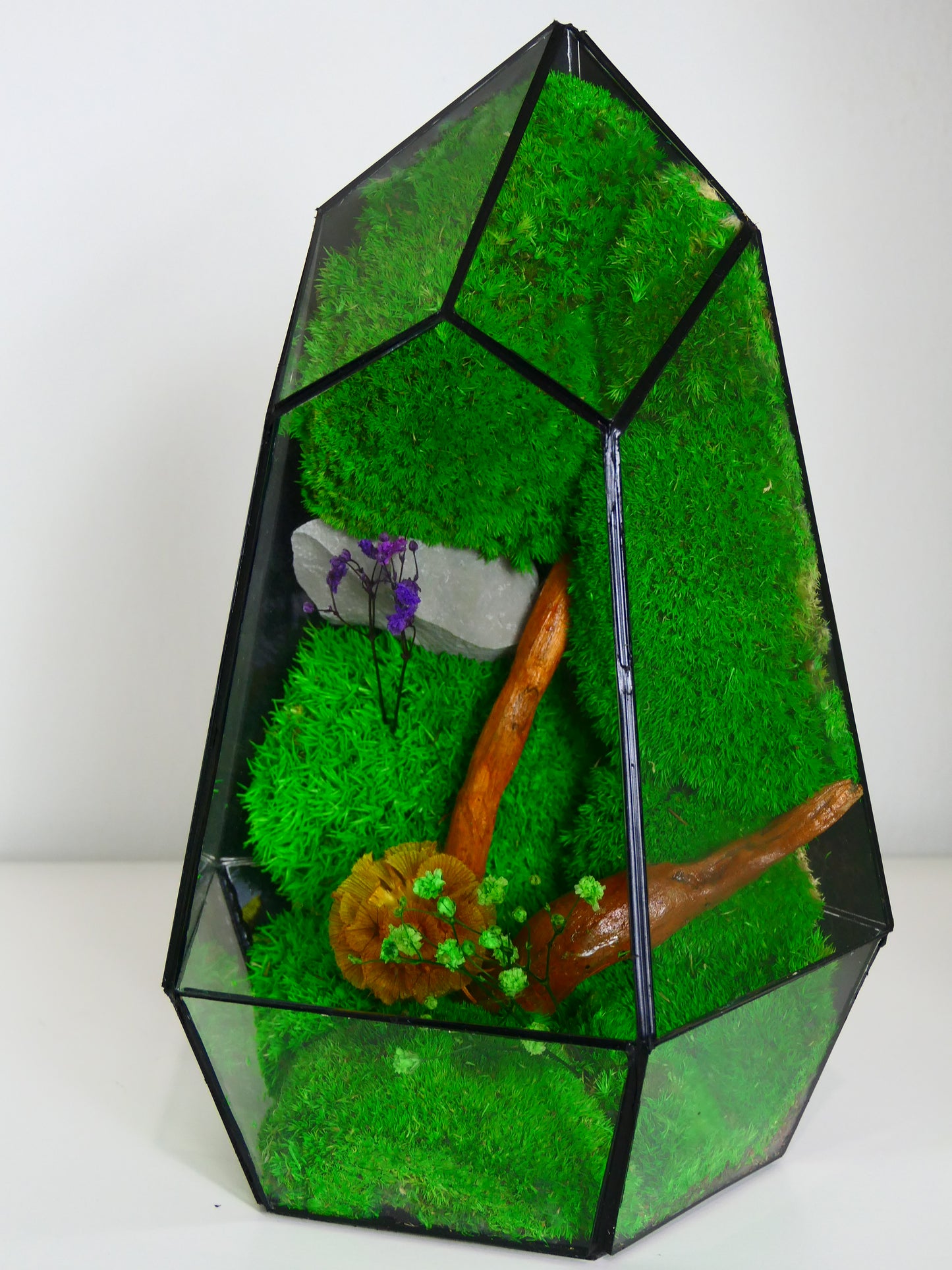 Terrarium T-134 🌱 terrario di vetro terrario piante terrario