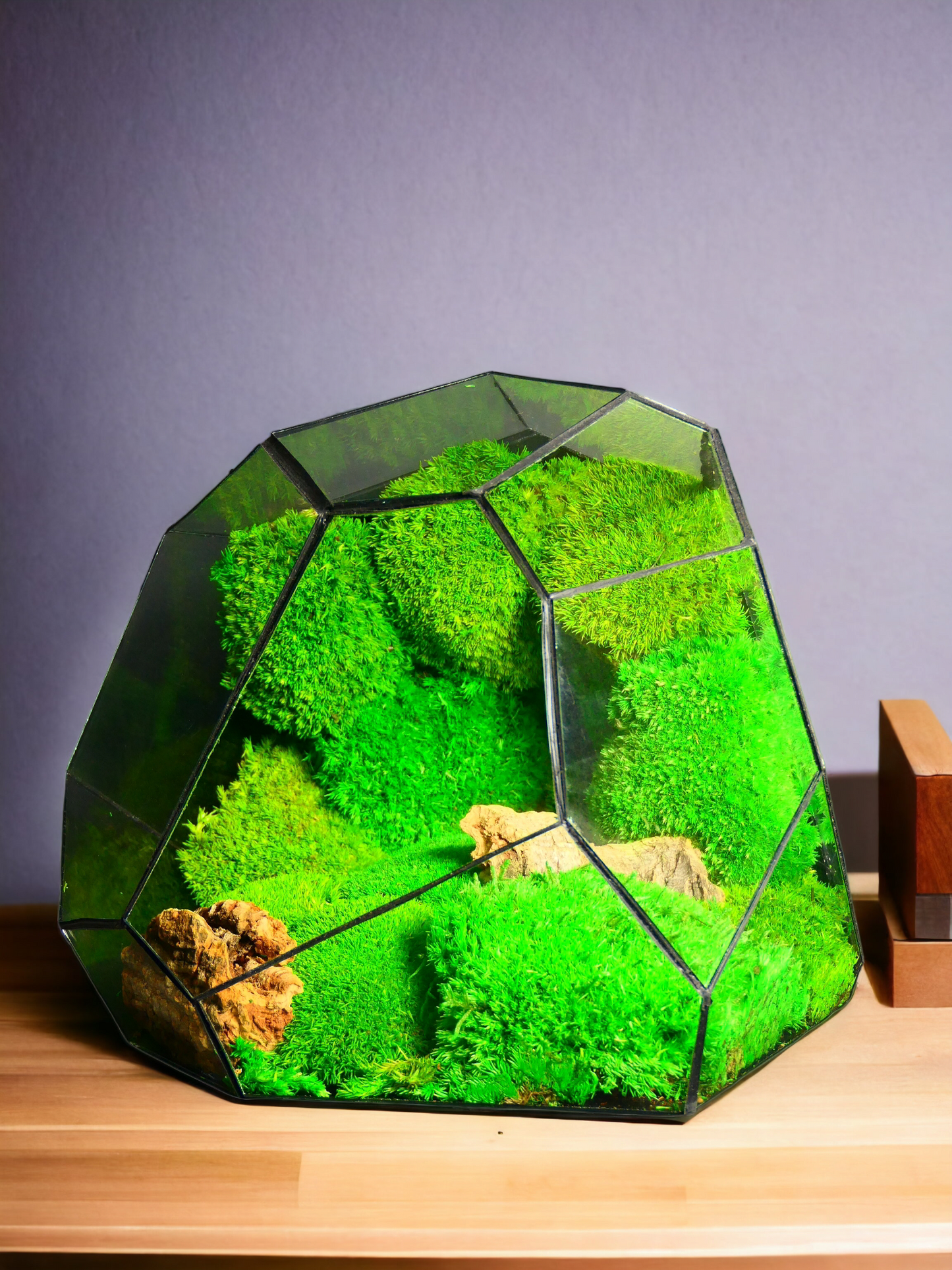 Hypernova "Terrarium" π± T10 - Ecogreenlab