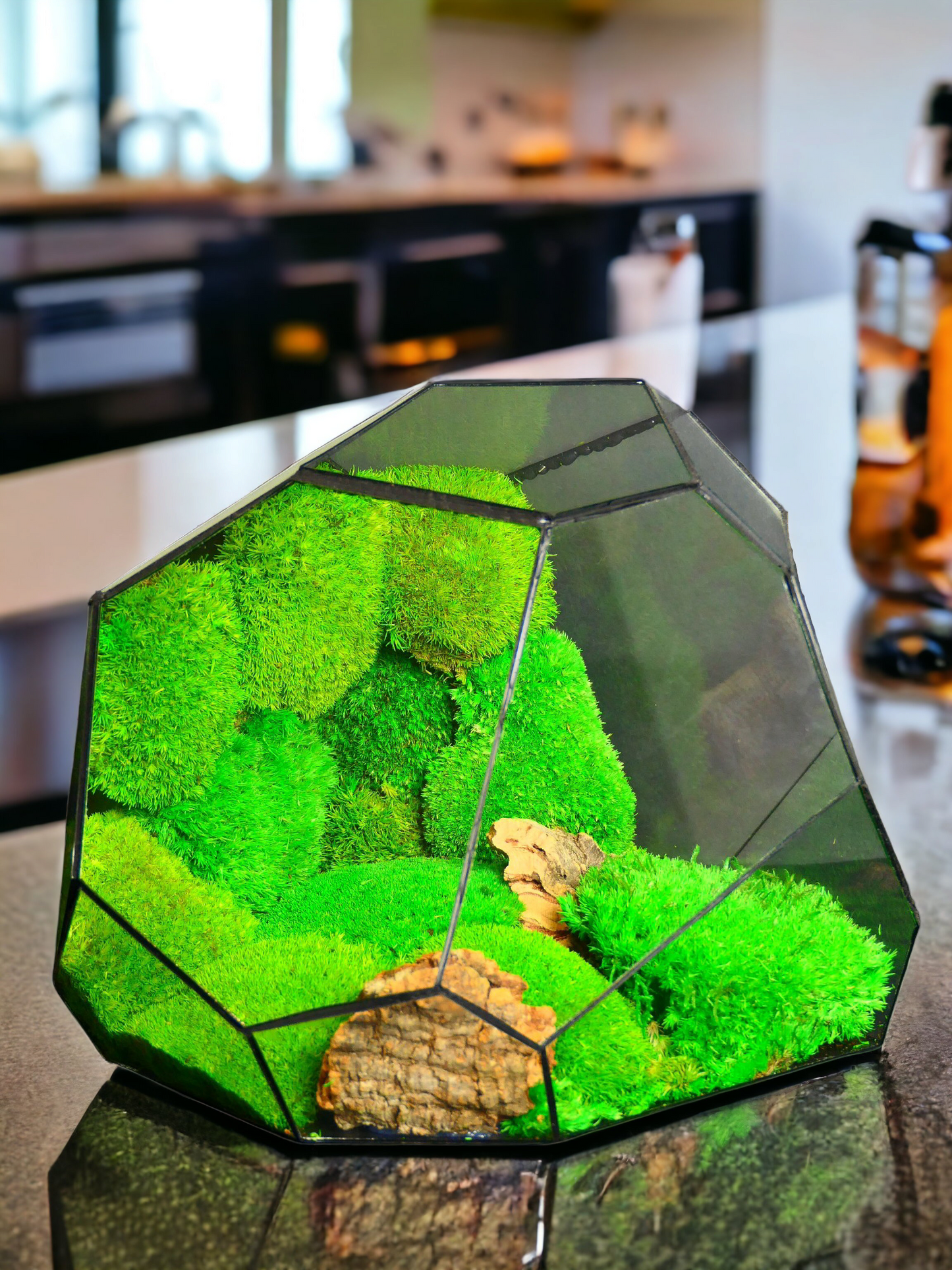 Hypernova "Terrarium" π± T10 - Ecogreenlab