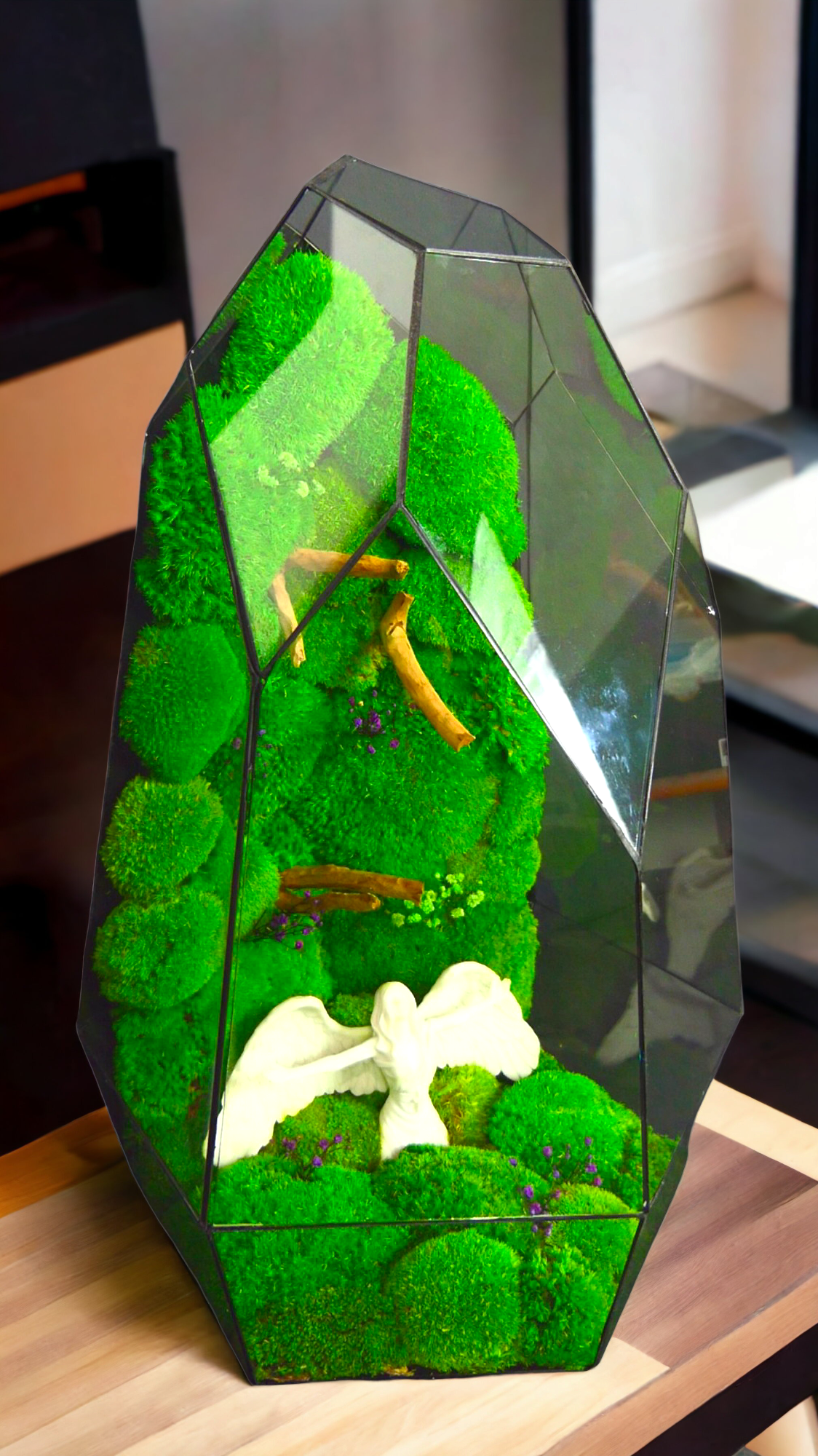 La foresta degli angeli "T-81 🌱 Edizione limitata "Gigante". terrario di vetro terrario piante terrario