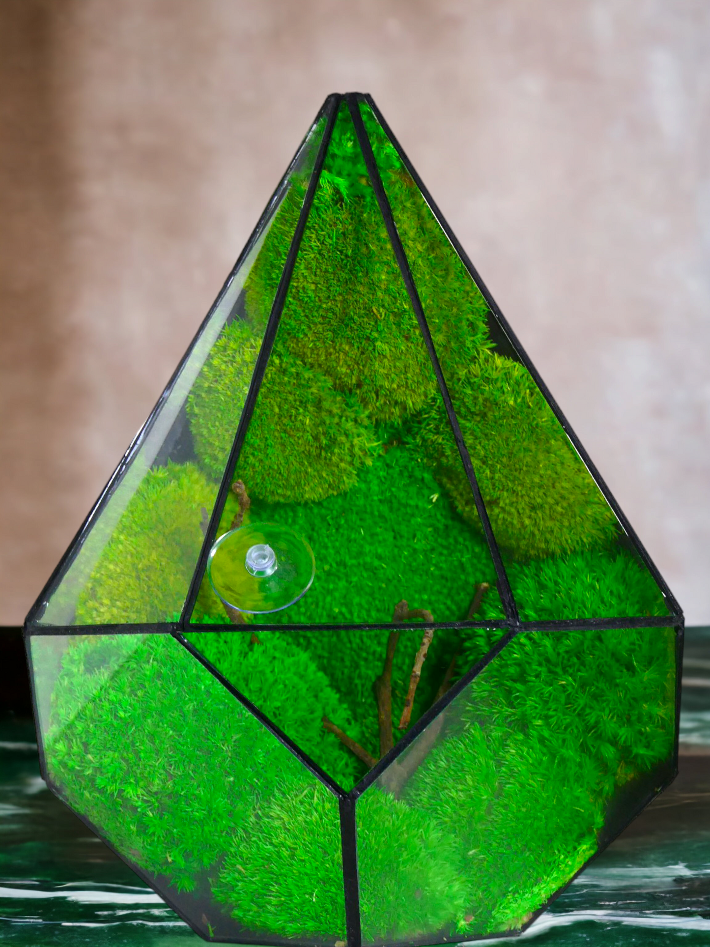Ares "Terrarium" π± T03 - Ecogreenlab
