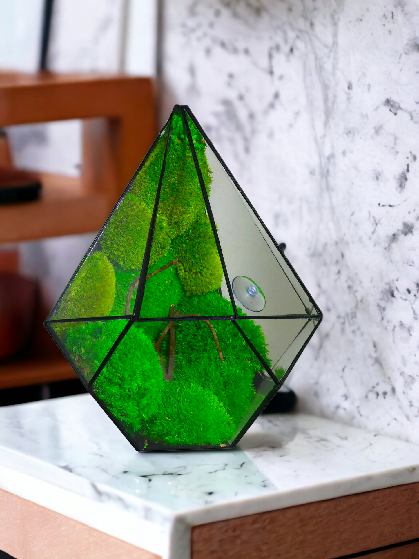 Ares "Terrarium" π± T03 - Ecogreenlab