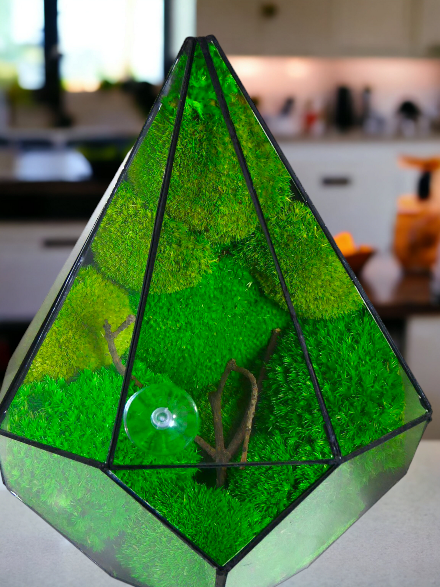 Ares "Terrarium" π± T03 - Ecogreenlab