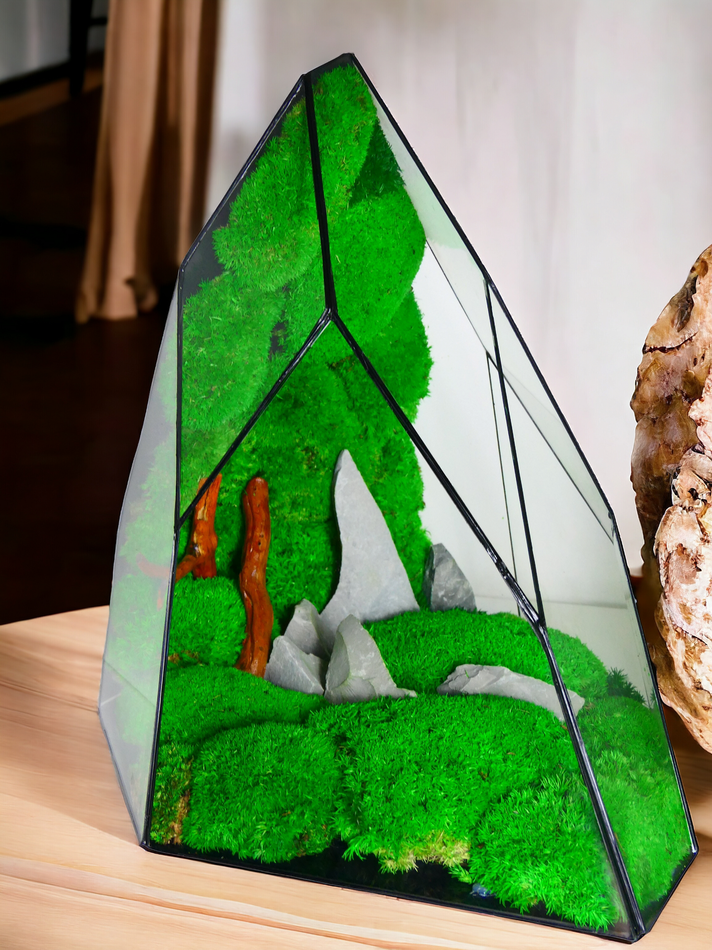 Terrarium T-144 🌱 terrario di vetro terrario piante terrario