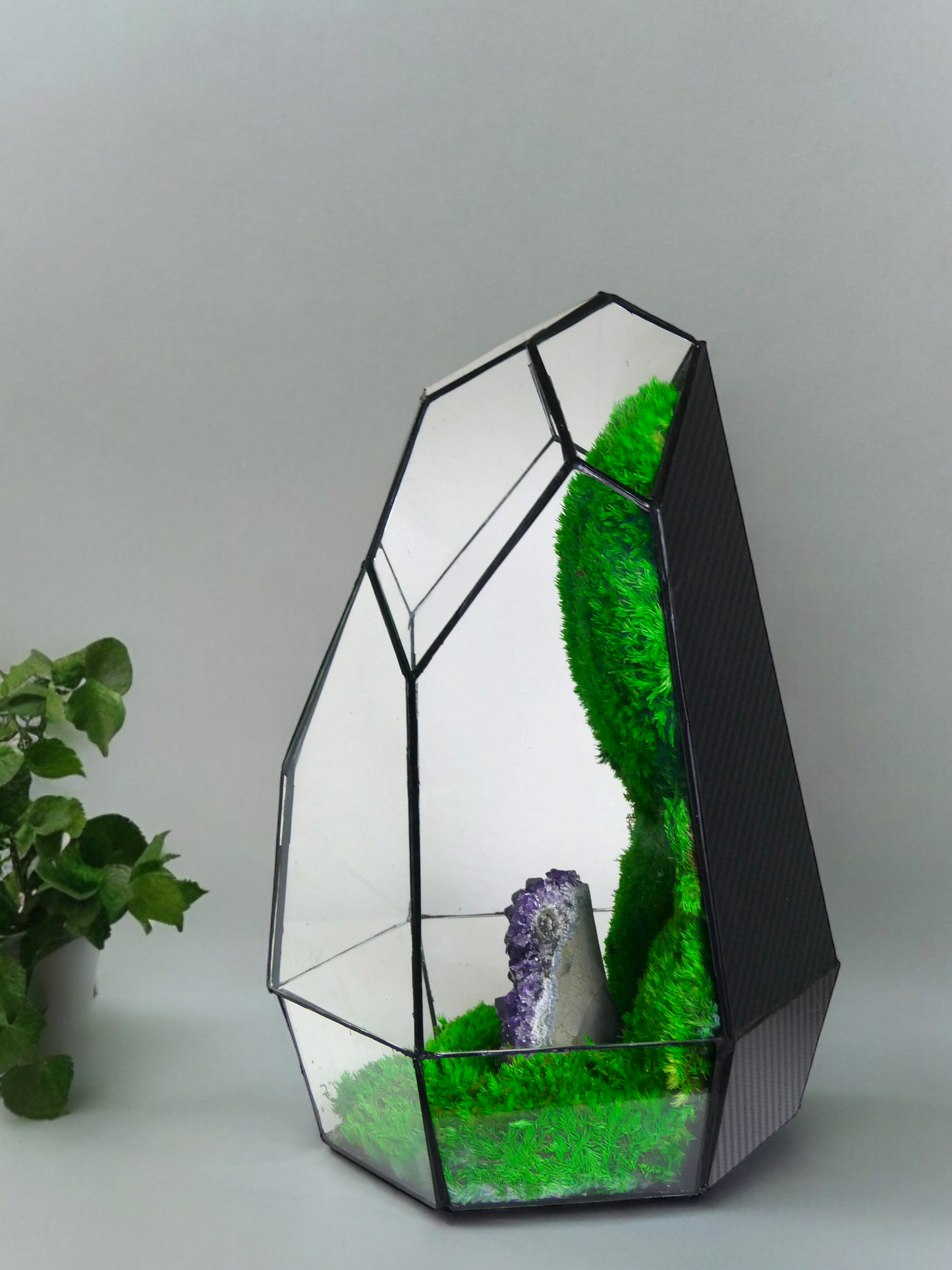 Terrarium A6 🌱 terrario di vetro terrario piante terrario