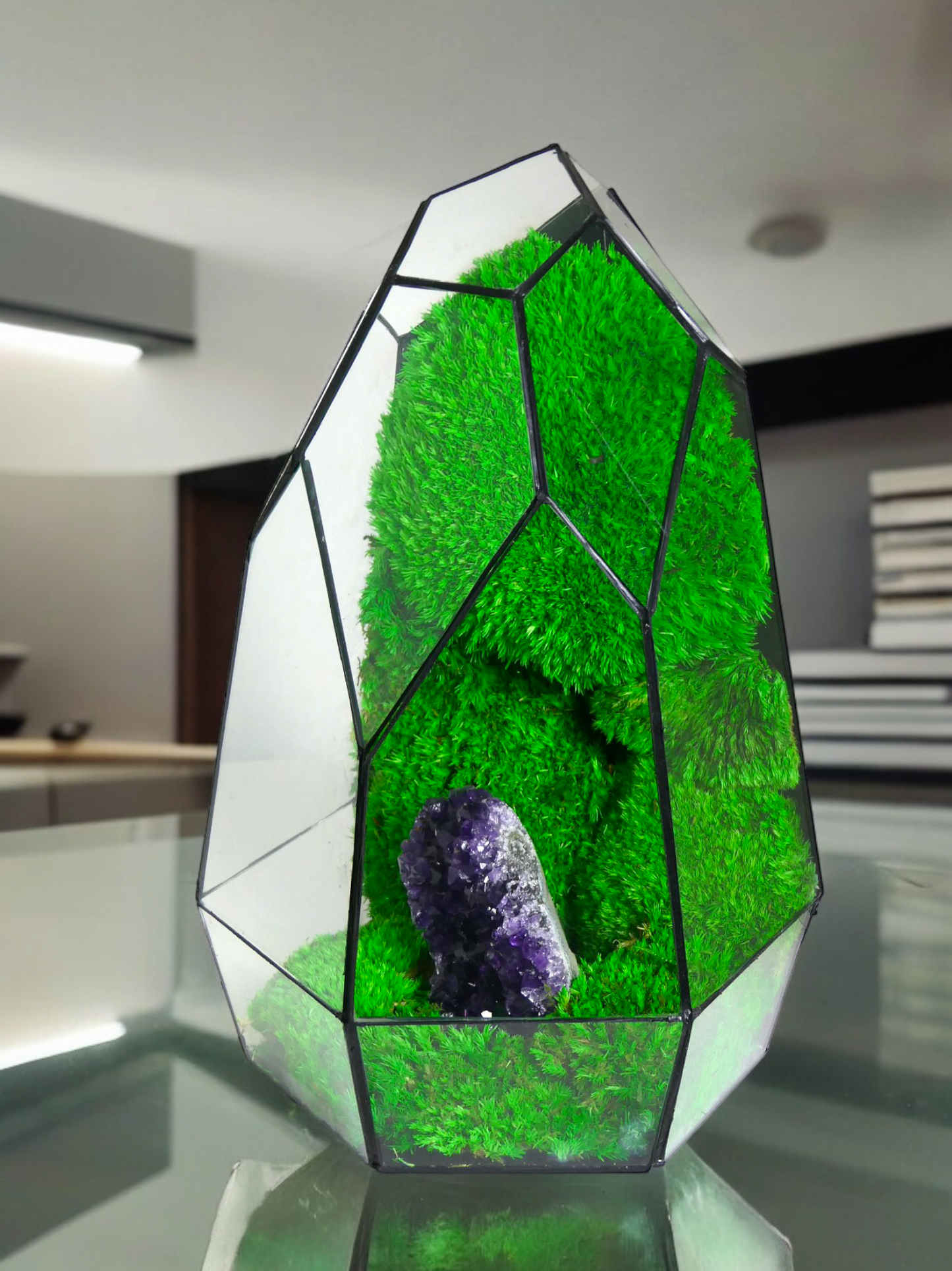 Terrarium A6 🌱 terrario di vetro terrario piante terrario
