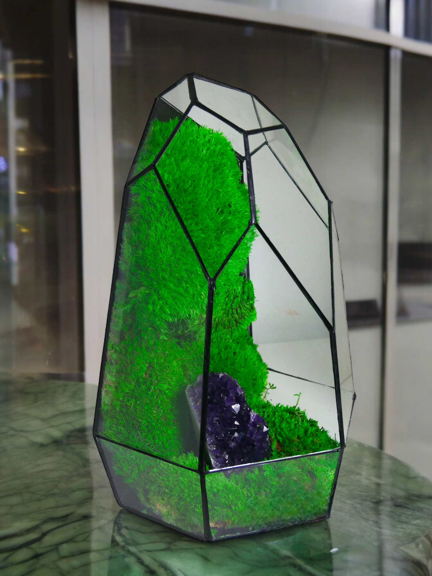 Terrarium A6 🌱 terrario di vetro terrario piante terrario