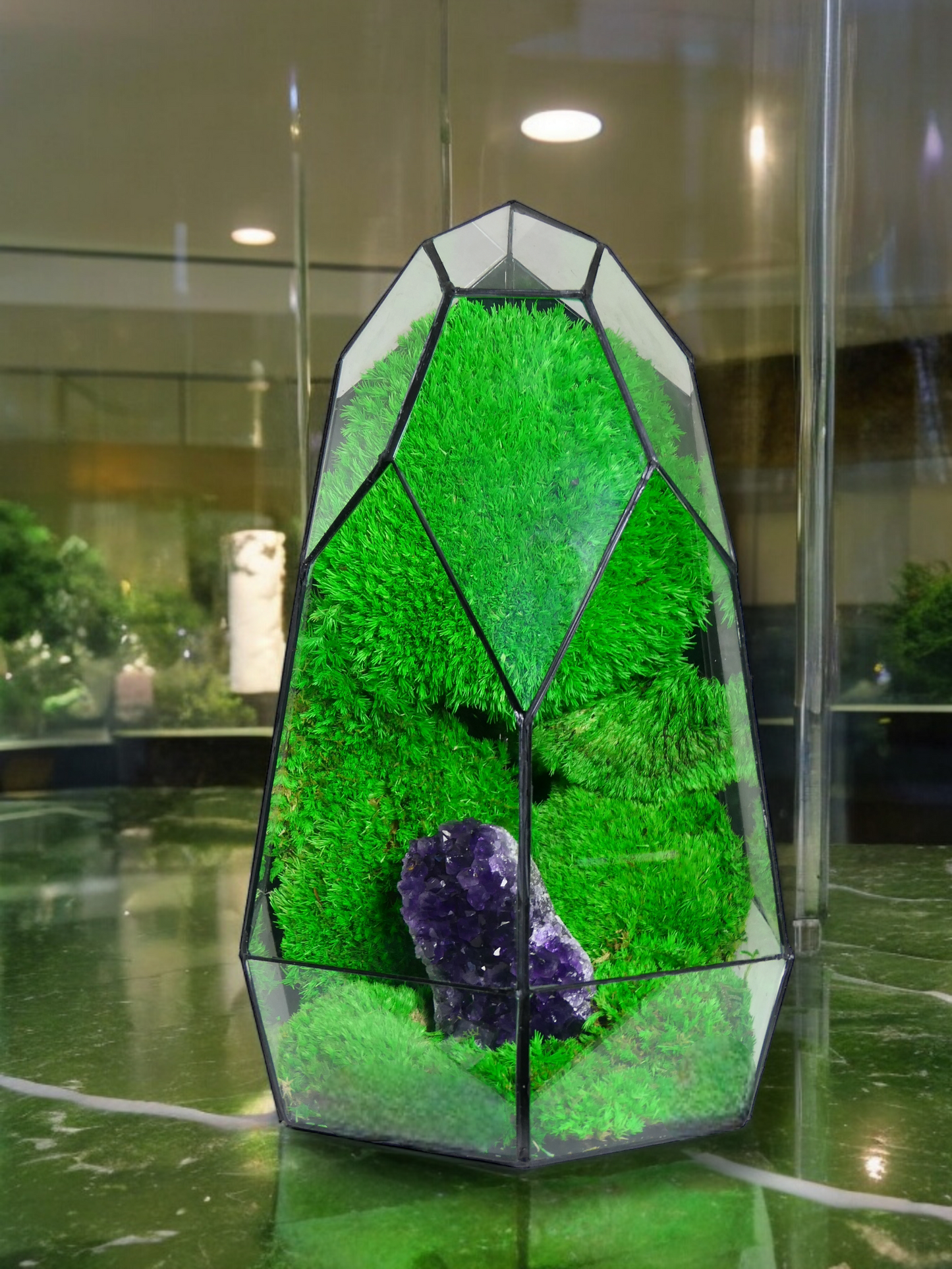 Terrarium A6 🌱 terrario di vetro terrario piante terrario