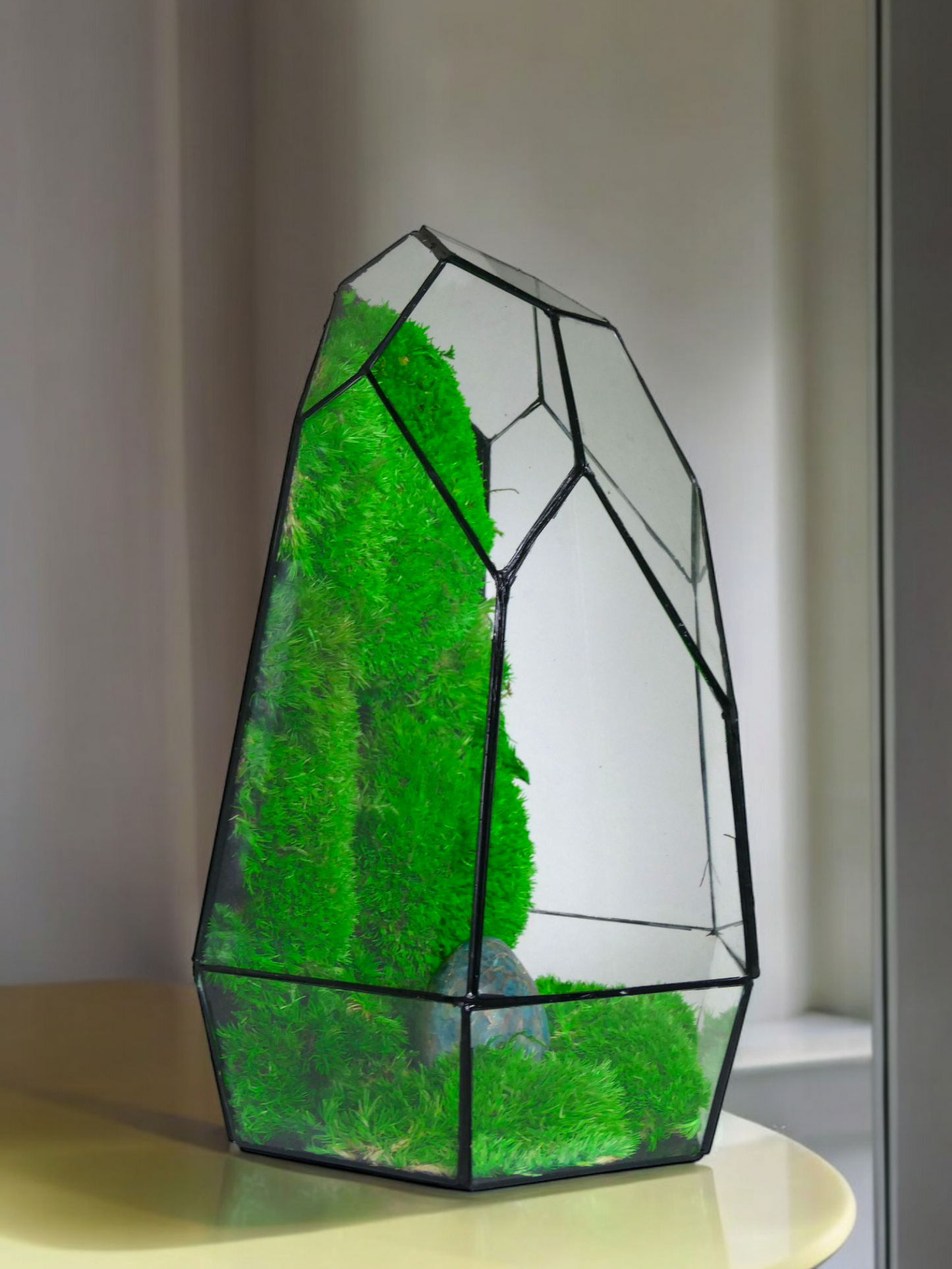 Terrarium P3 terrario di vetro terrario piante terrario