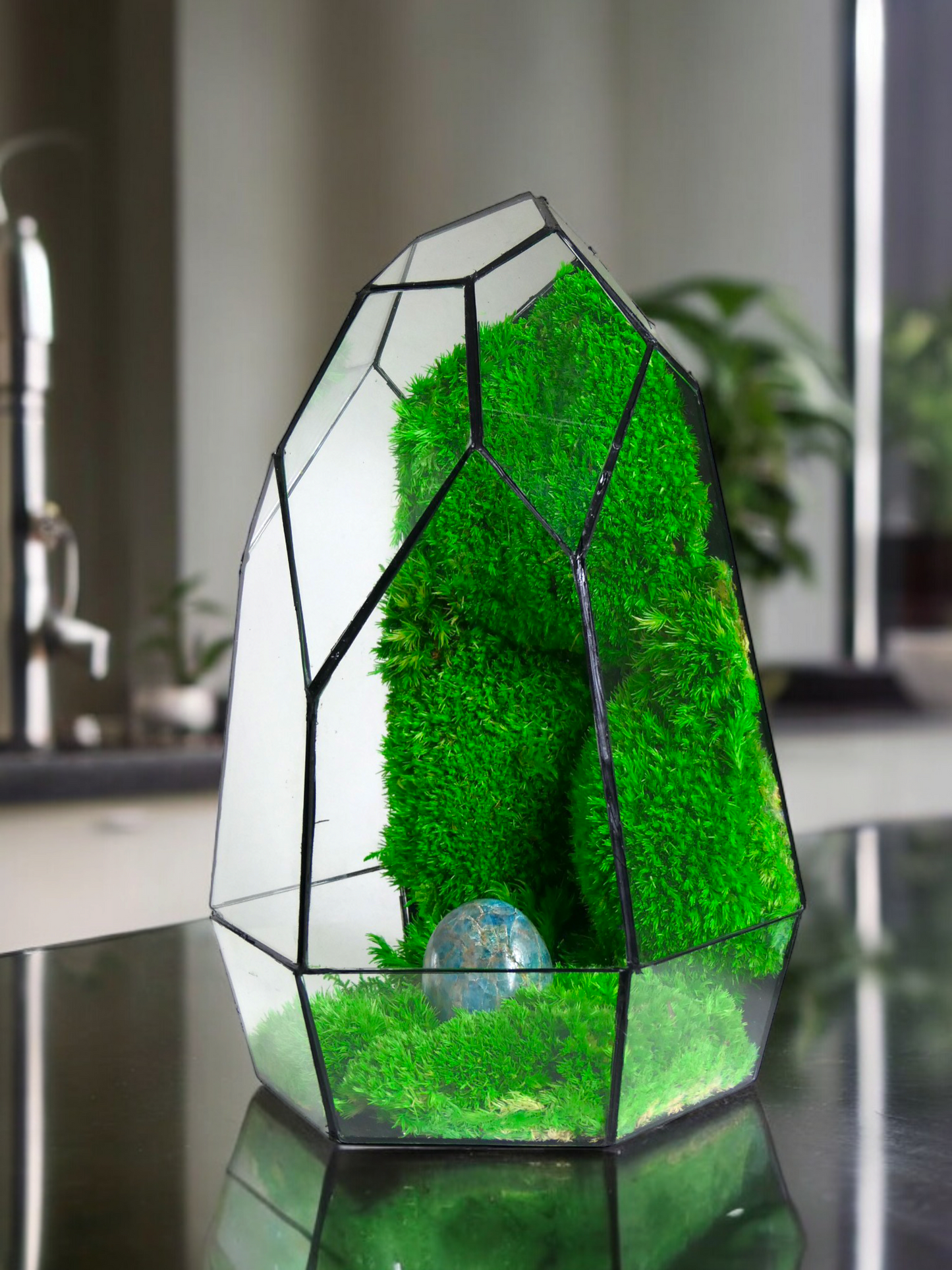 Terrarium P3 terrario di vetro terrario piante terrario