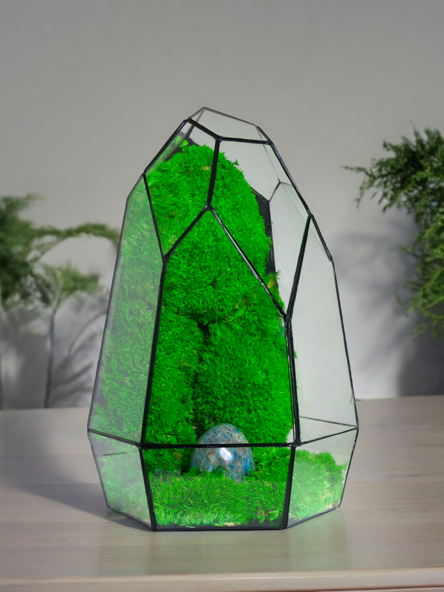 Terrarium P3 terrario di vetro terrario piante terrario