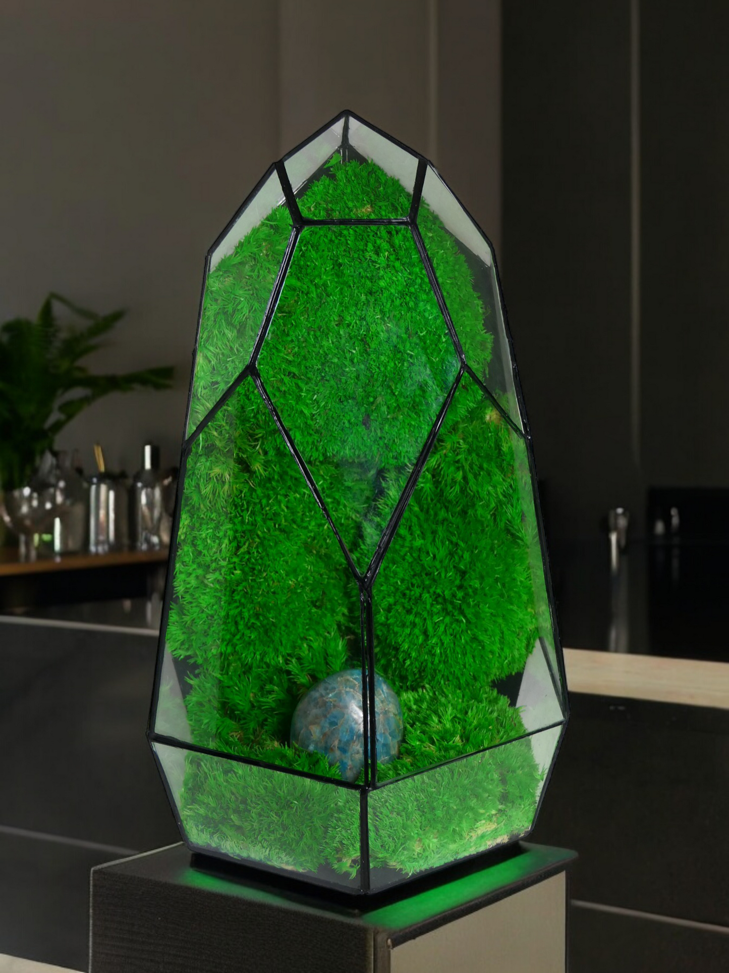 Terrarium P3 terrario di vetro terrario piante terrario
