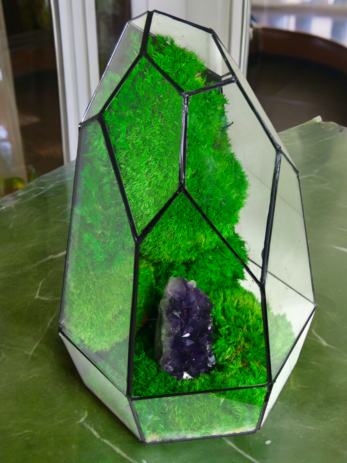 Terrarium A7 🌱 terrario di vetro terrario piante terrario