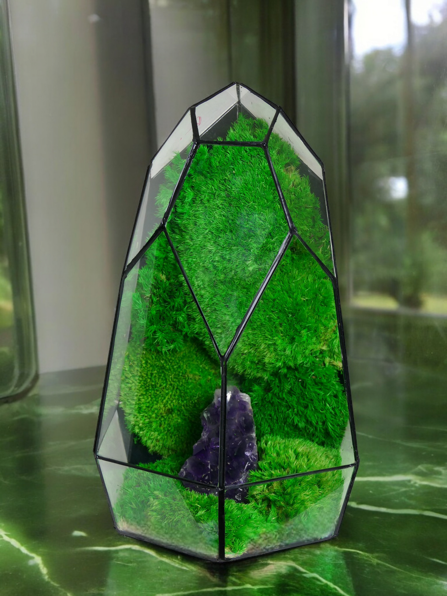 Terrarium A7 🌱 terrario di vetro terrario piante terrario