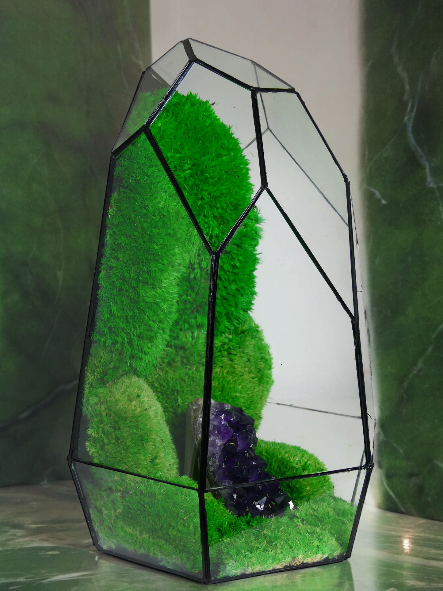 Terrarium A8 🌱 terrario di vetro terrario piante terrario