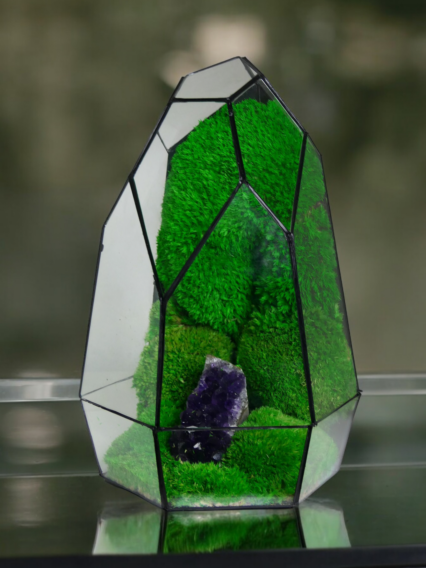 Terrarium A8 🌱 terrario di vetro terrario piante terrario