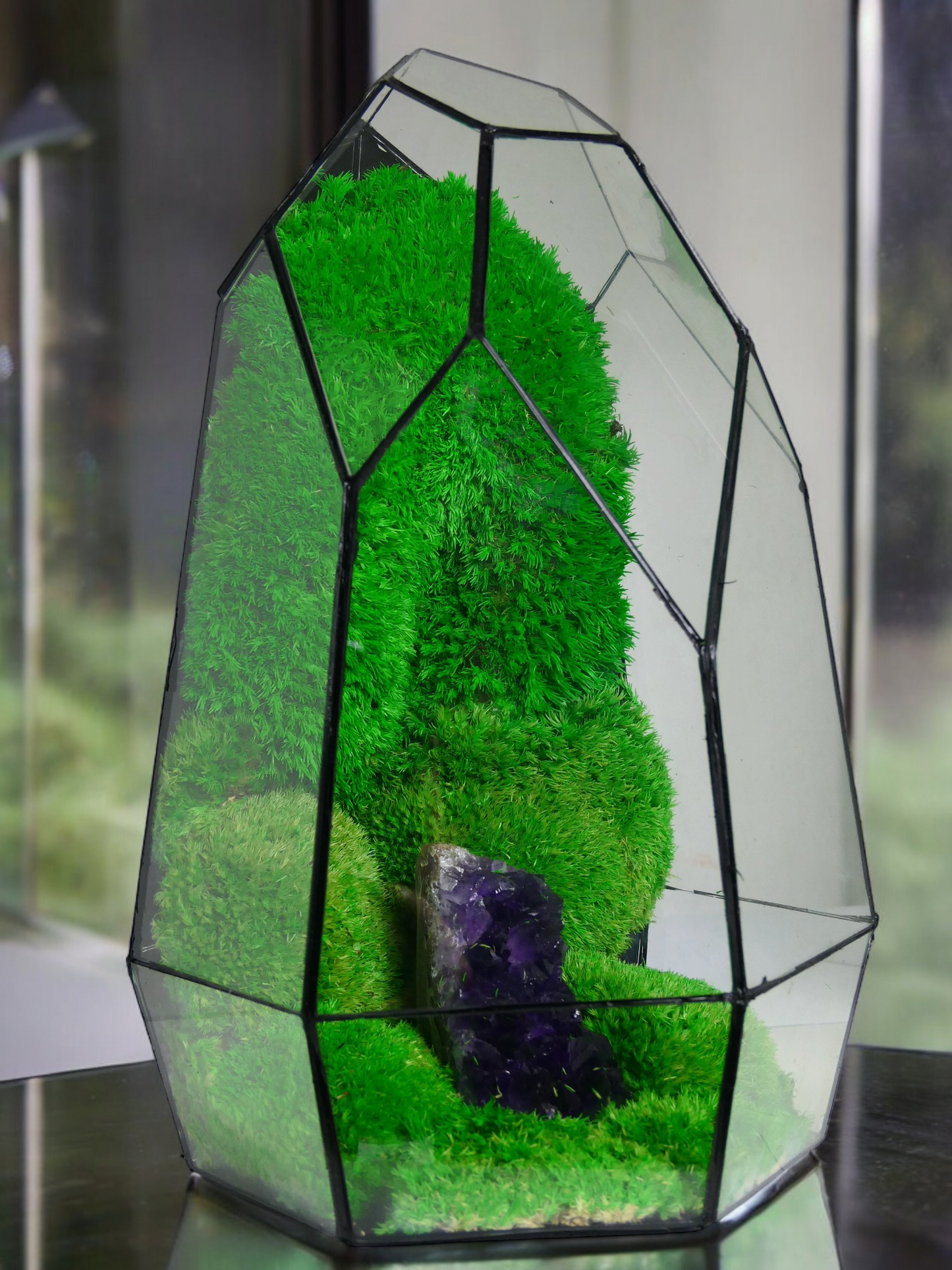 Terrarium A8 🌱 terrario di vetro terrario piante terrario