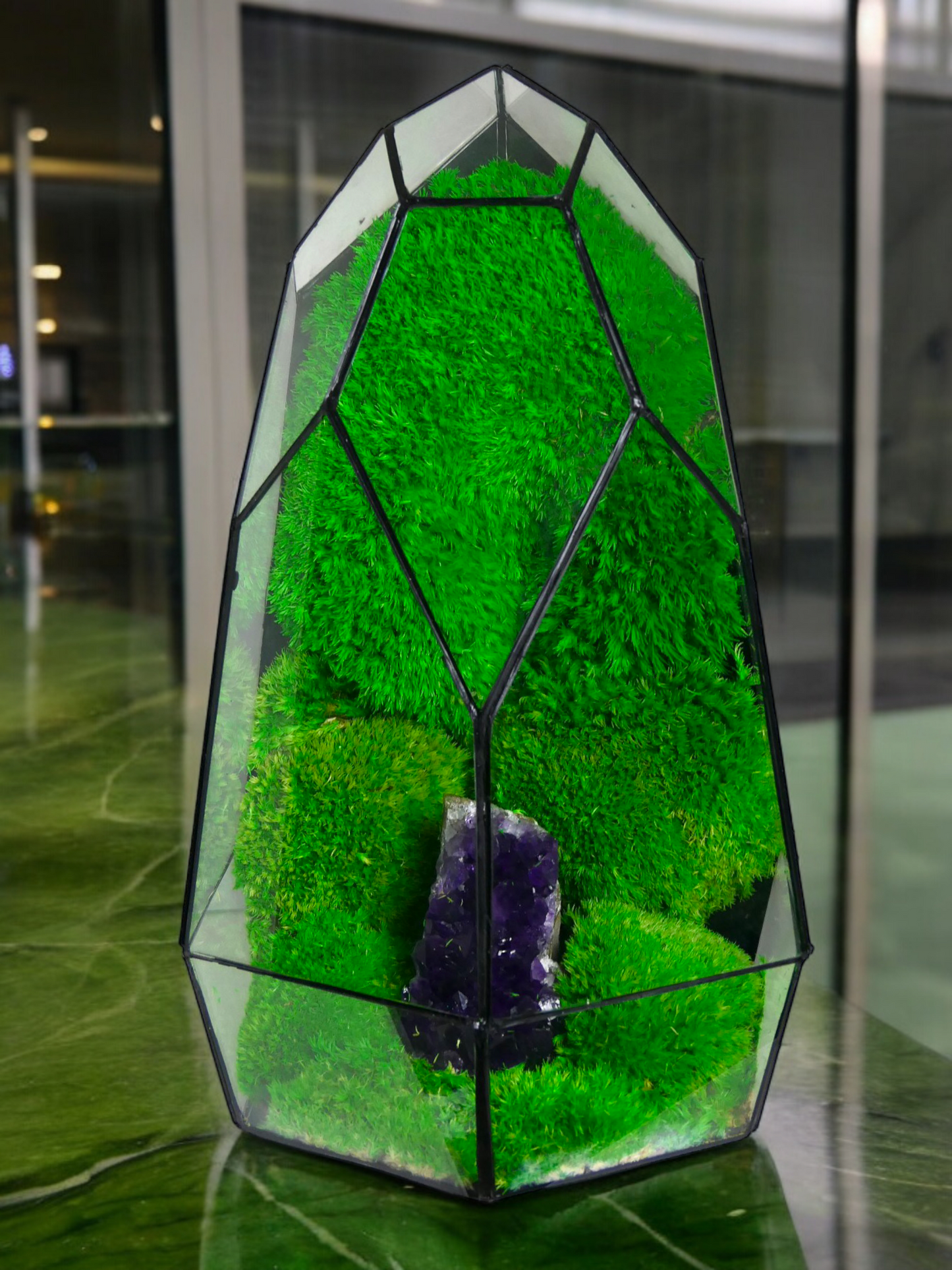 Terrarium A8 🌱 terrario di vetro terrario piante terrario
