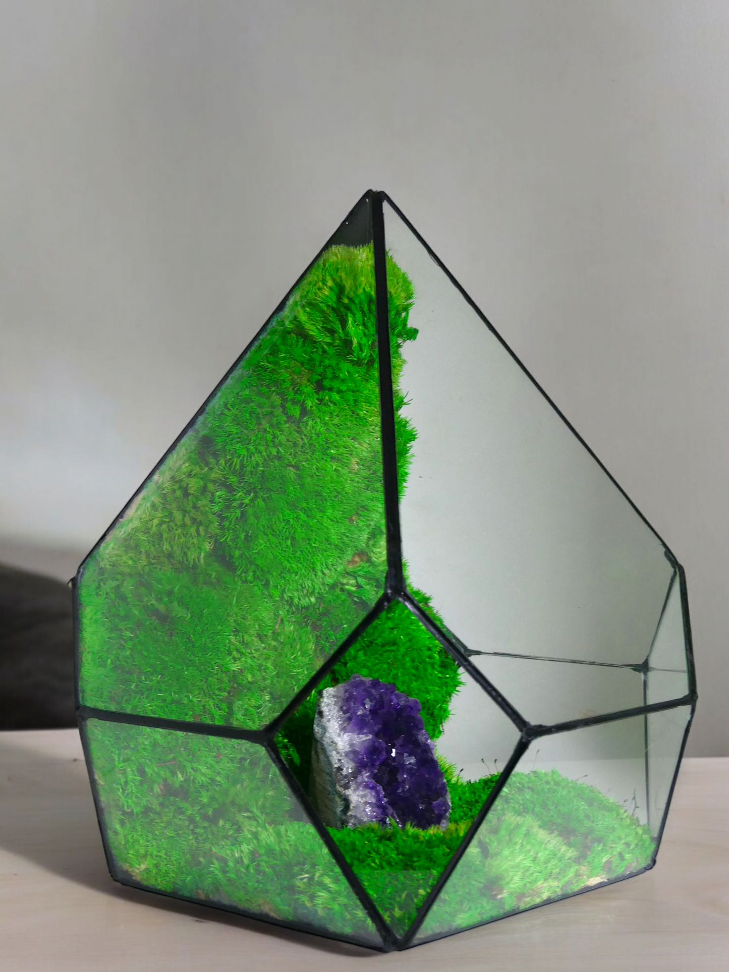 Terrarium A20 🌱 terrario di vetro terrario piante terrario