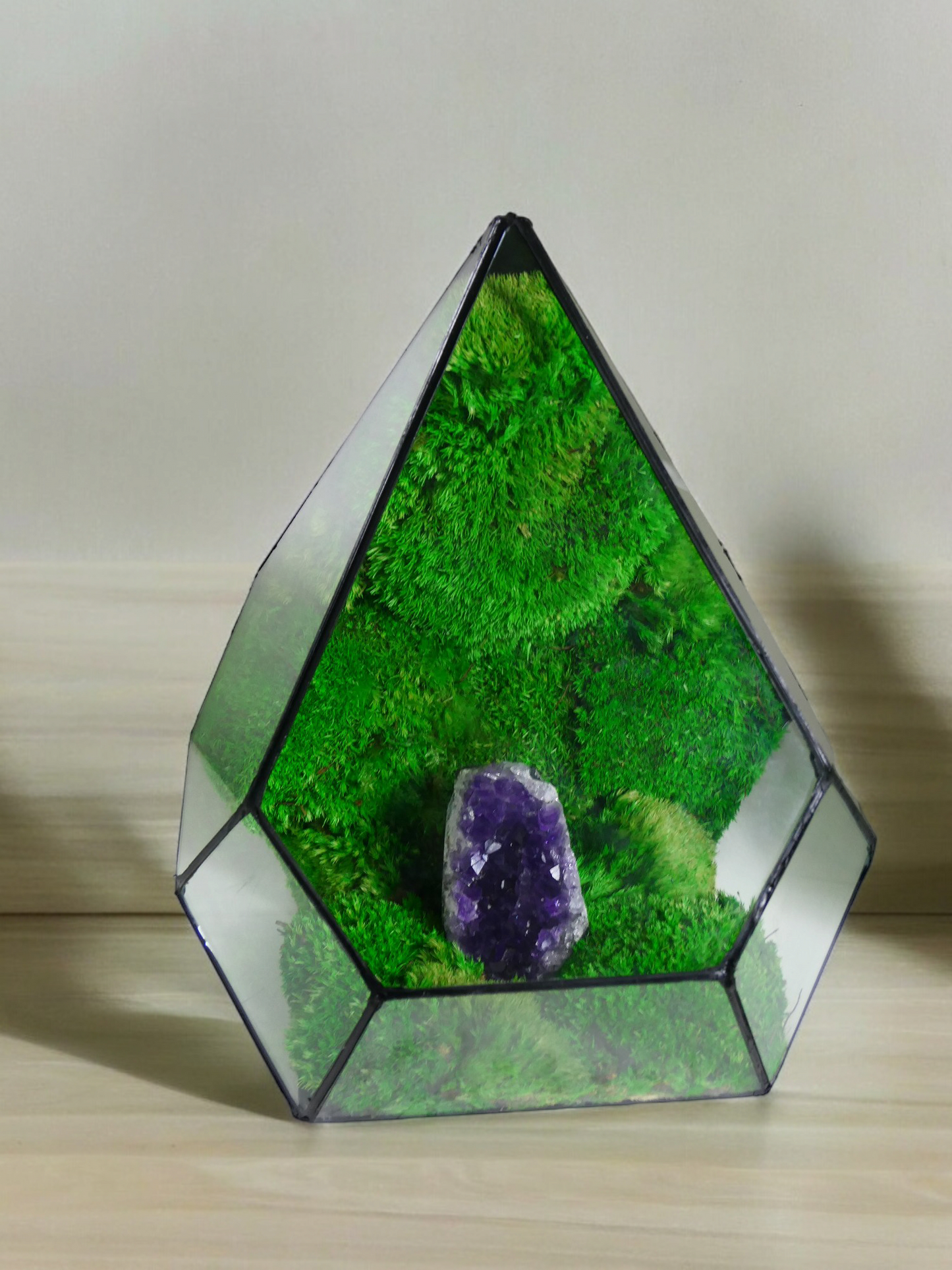 Terrarium A20 🌱 terrario di vetro terrario piante terrario