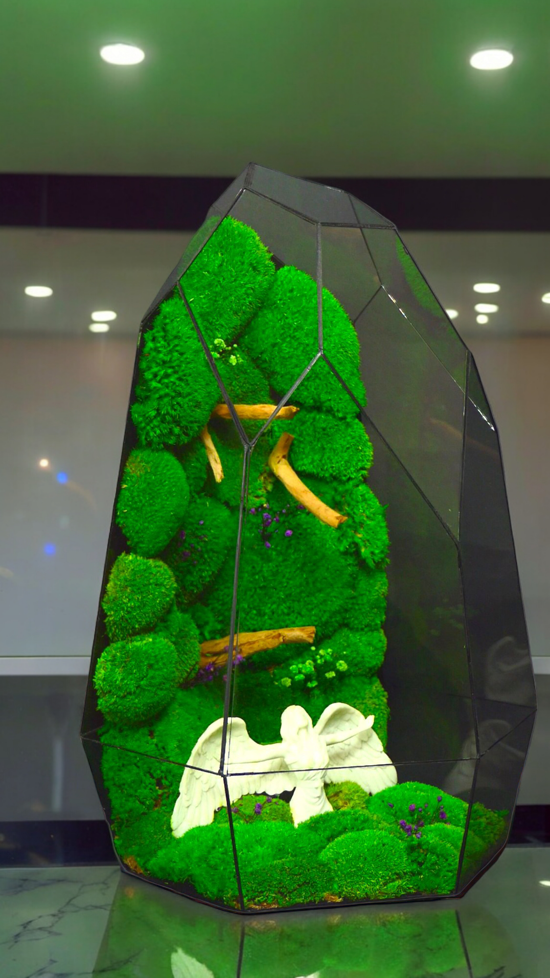 La foresta degli angeli "T-81 🌱 Edizione limitata "Gigante". terrario di vetro terrario piante terrario