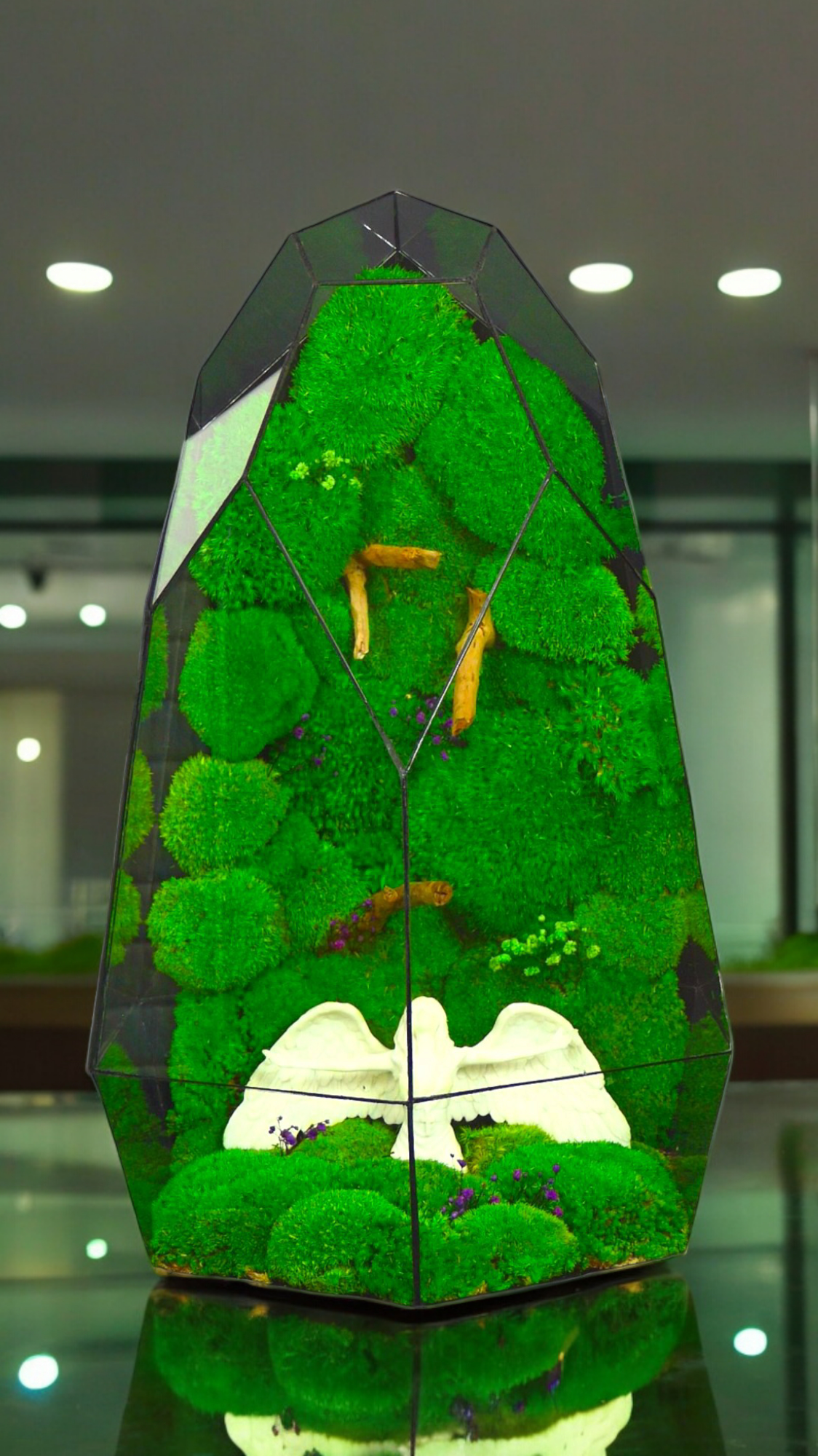 La foresta degli angeli "T-81 🌱 Edizione limitata "Gigante". terrario di vetro terrario piante terrario