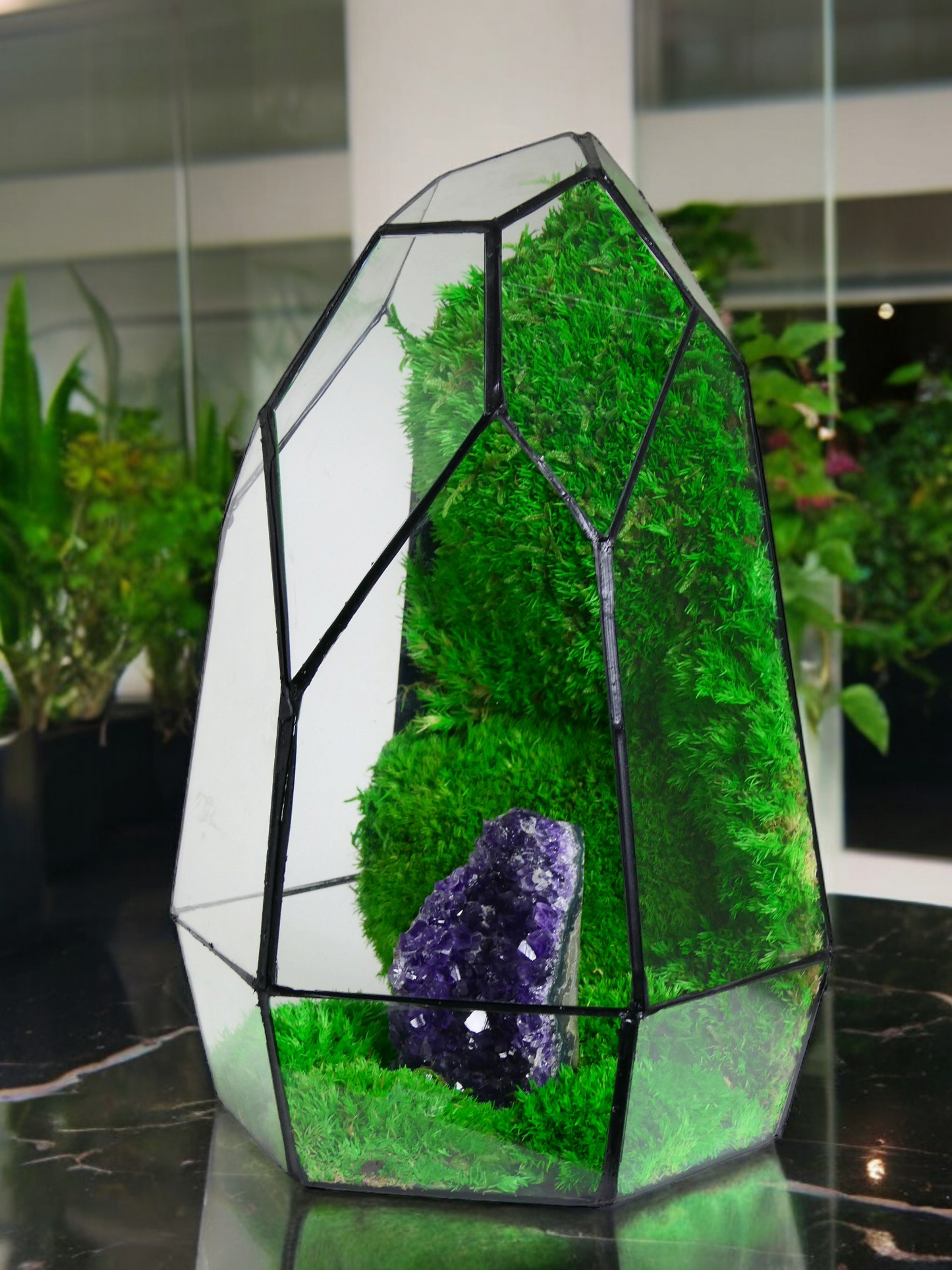 Terrarium A9 🌱 terrario di vetro terrario piante terrario