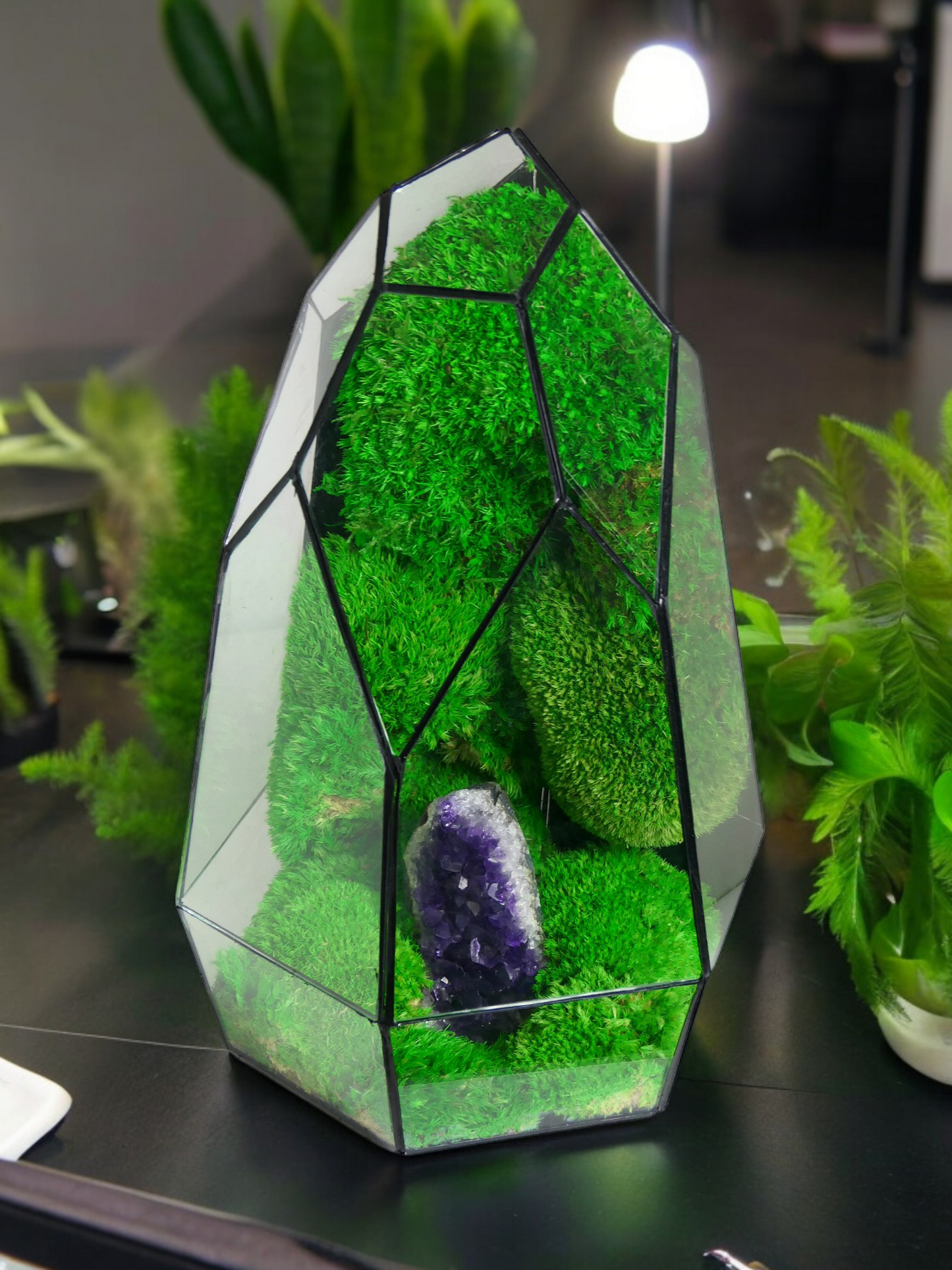 Terrarium A13 🌱 terrario di vetro terrario piante terrario