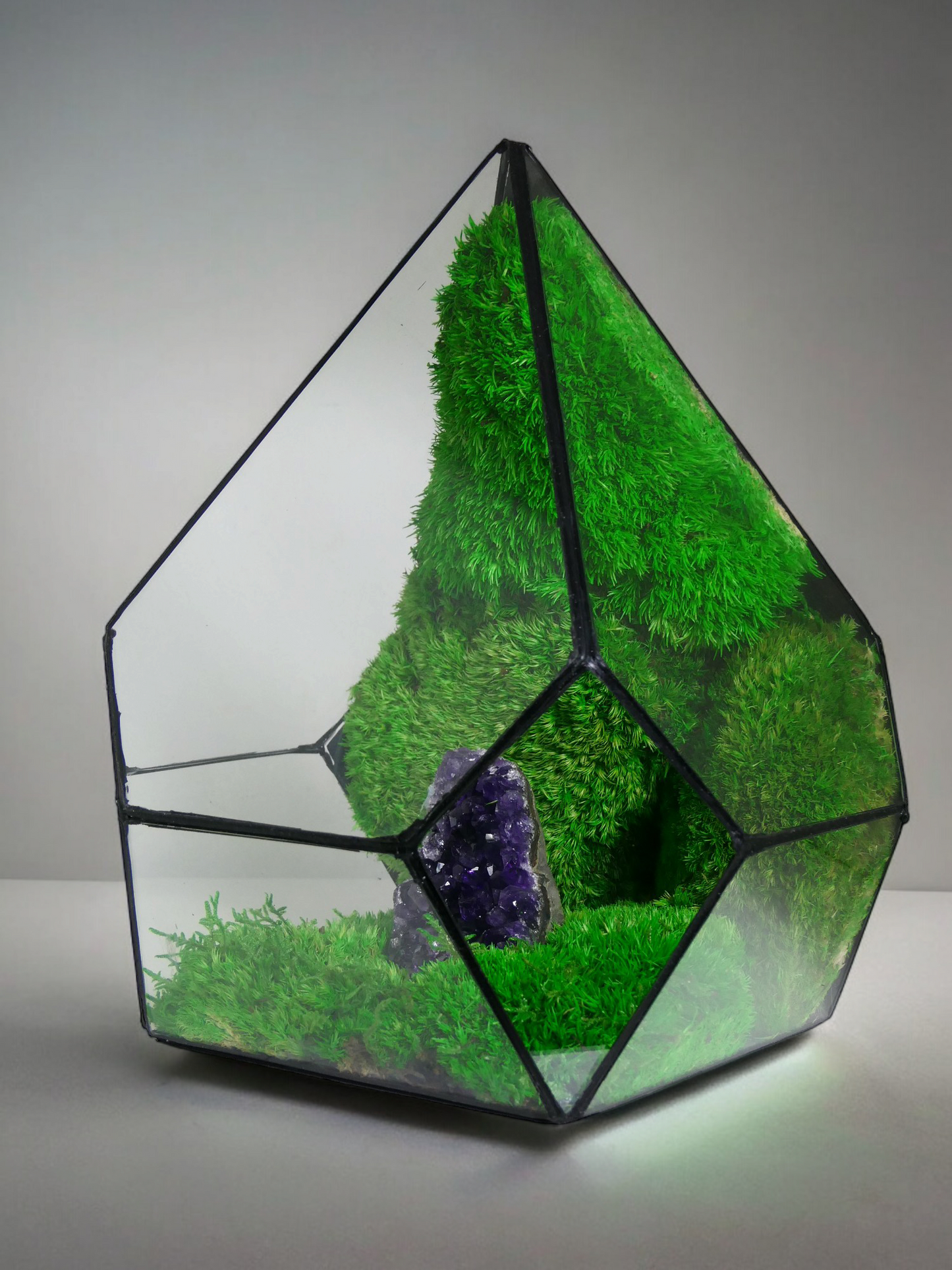 Terrarium A17 🌱 terrario di vetro terrario piante terrario