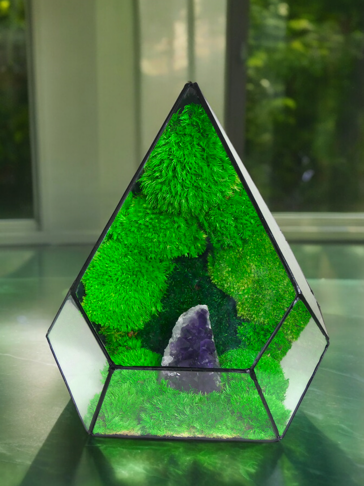 Terrarium A11 🌱 terrario di vetro terrario piante terrario