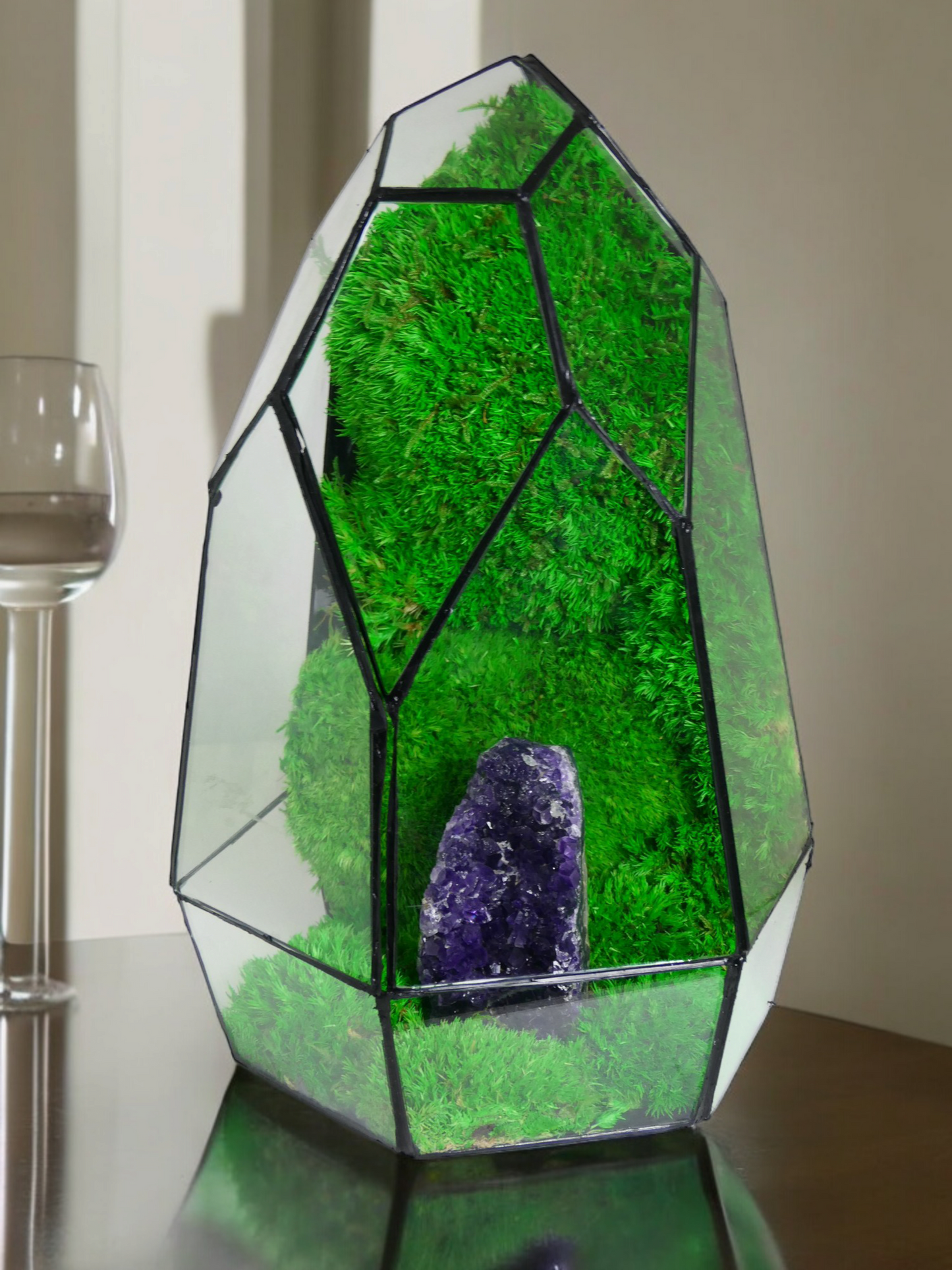 Terrarium A9 🌱 terrario di vetro terrario piante terrario