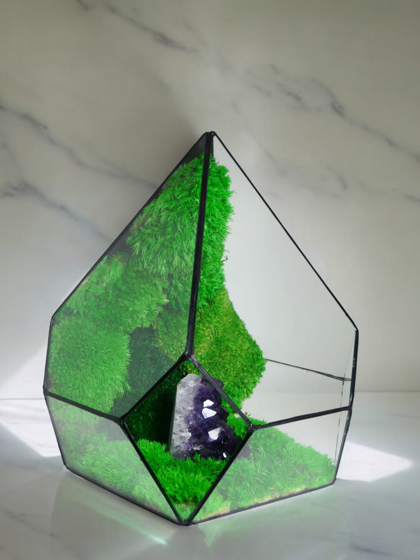 Terrarium A11 🌱 terrario di vetro terrario piante terrario