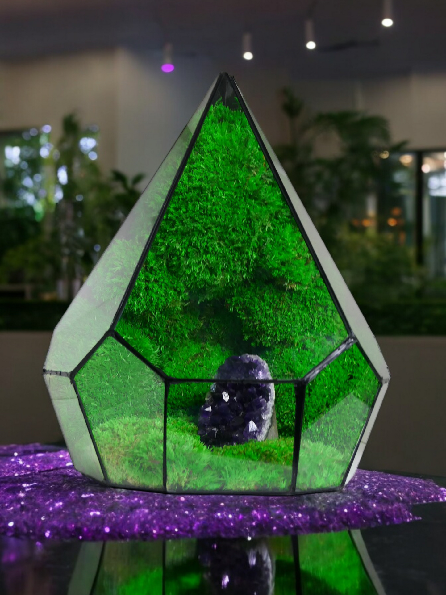 Terrarium A21 🌱 terrario di vetro terrario piante terrario