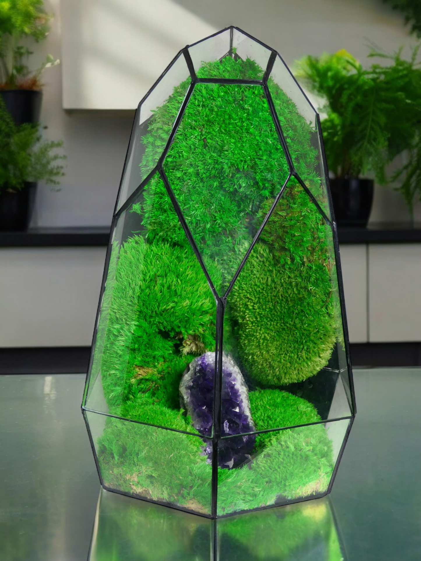 Terrarium A13 🌱 terrario di vetro terrario piante terrario