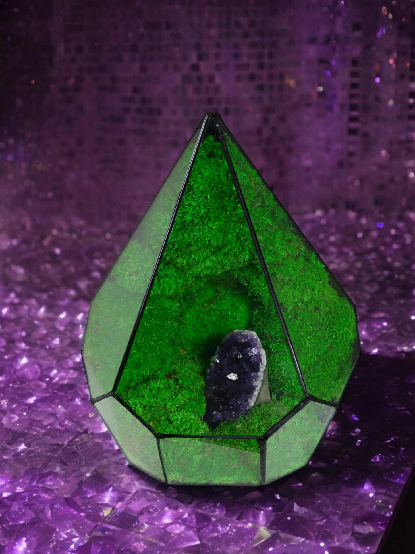 Terrarium A21 🌱 terrario di vetro terrario piante terrario