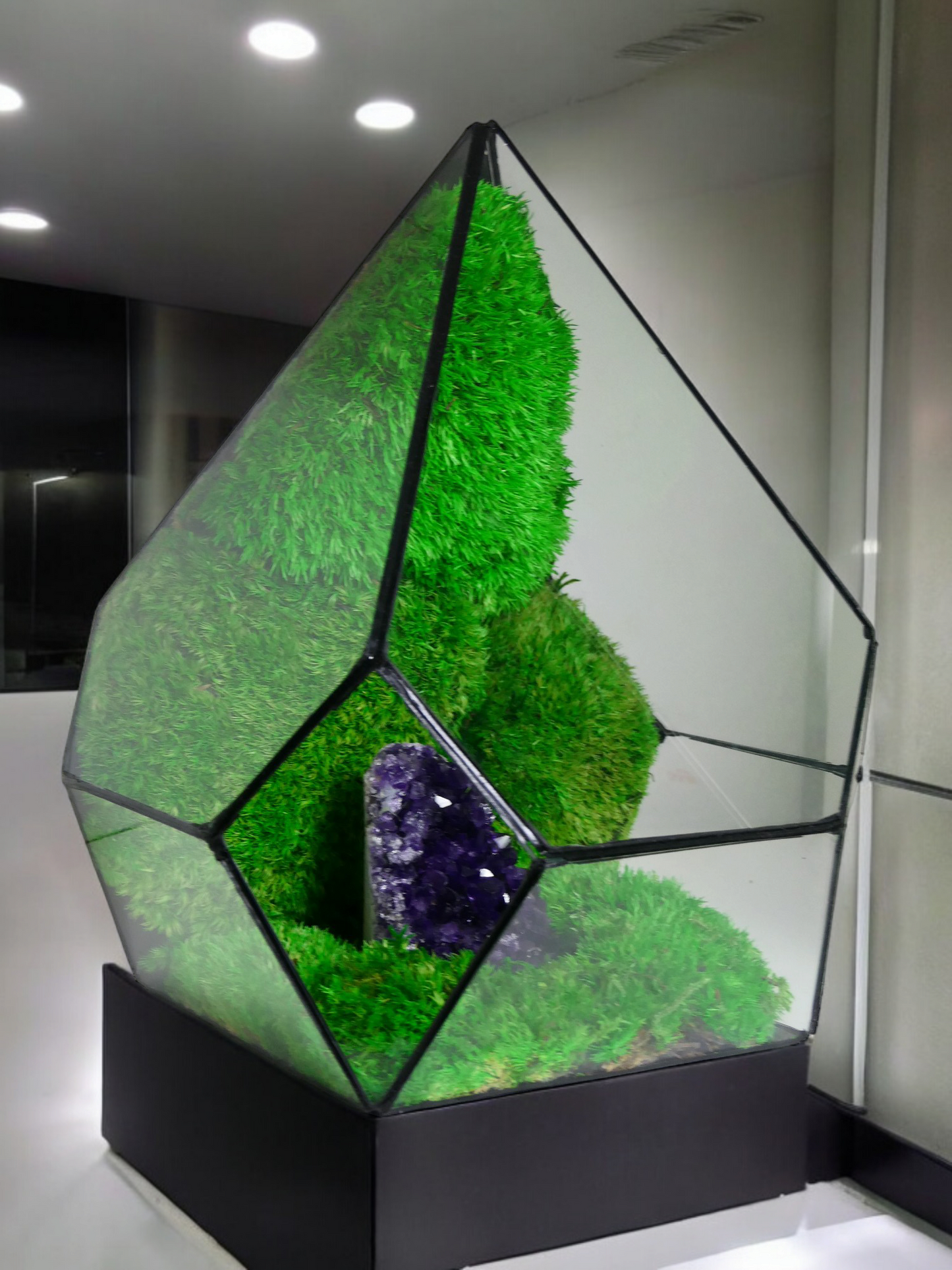 Terrarium A17 🌱 terrario di vetro terrario piante terrario