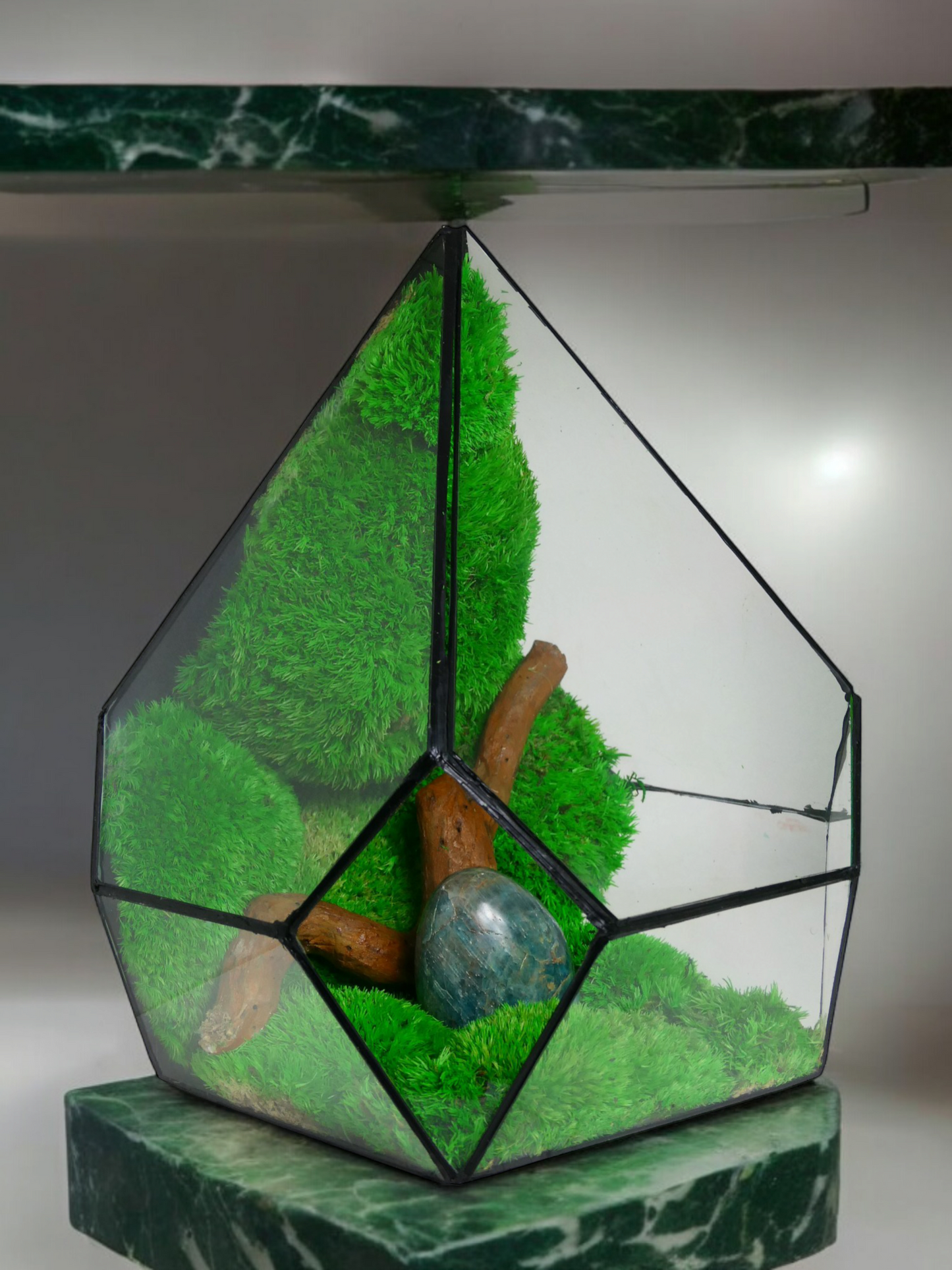 Terrarium P8 🌱 terrario di vetro terrario piante terrario