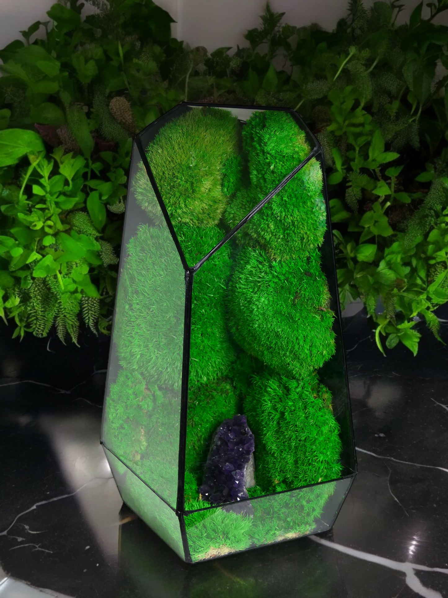 Terrarium A4 🌱 terrario di vetro terrario piante terrario