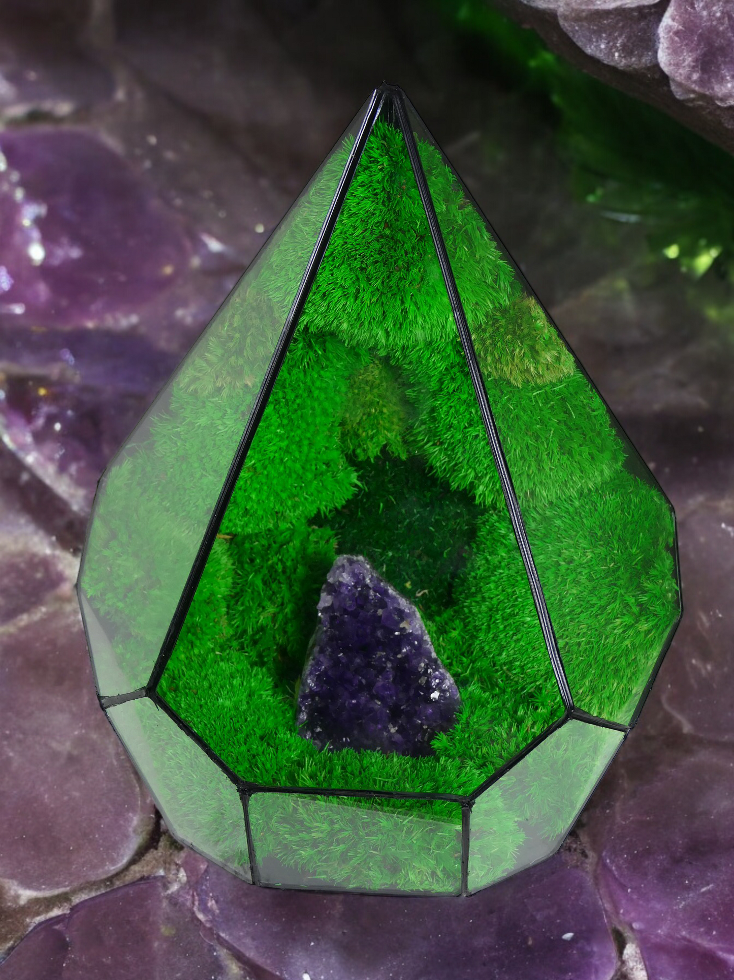 Terrarium A16 🌱 terrario di vetro terrario piante terrario