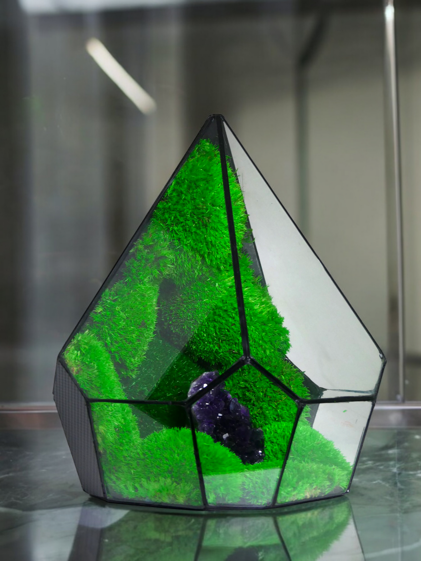 Terrarium A12 🌱 terrario di vetro terrario piante terrario