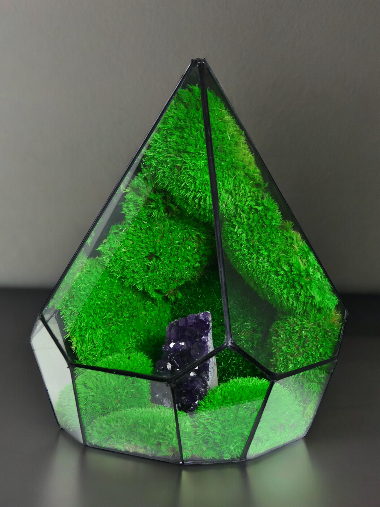 Terrarium A12 🌱 terrario di vetro terrario piante terrario