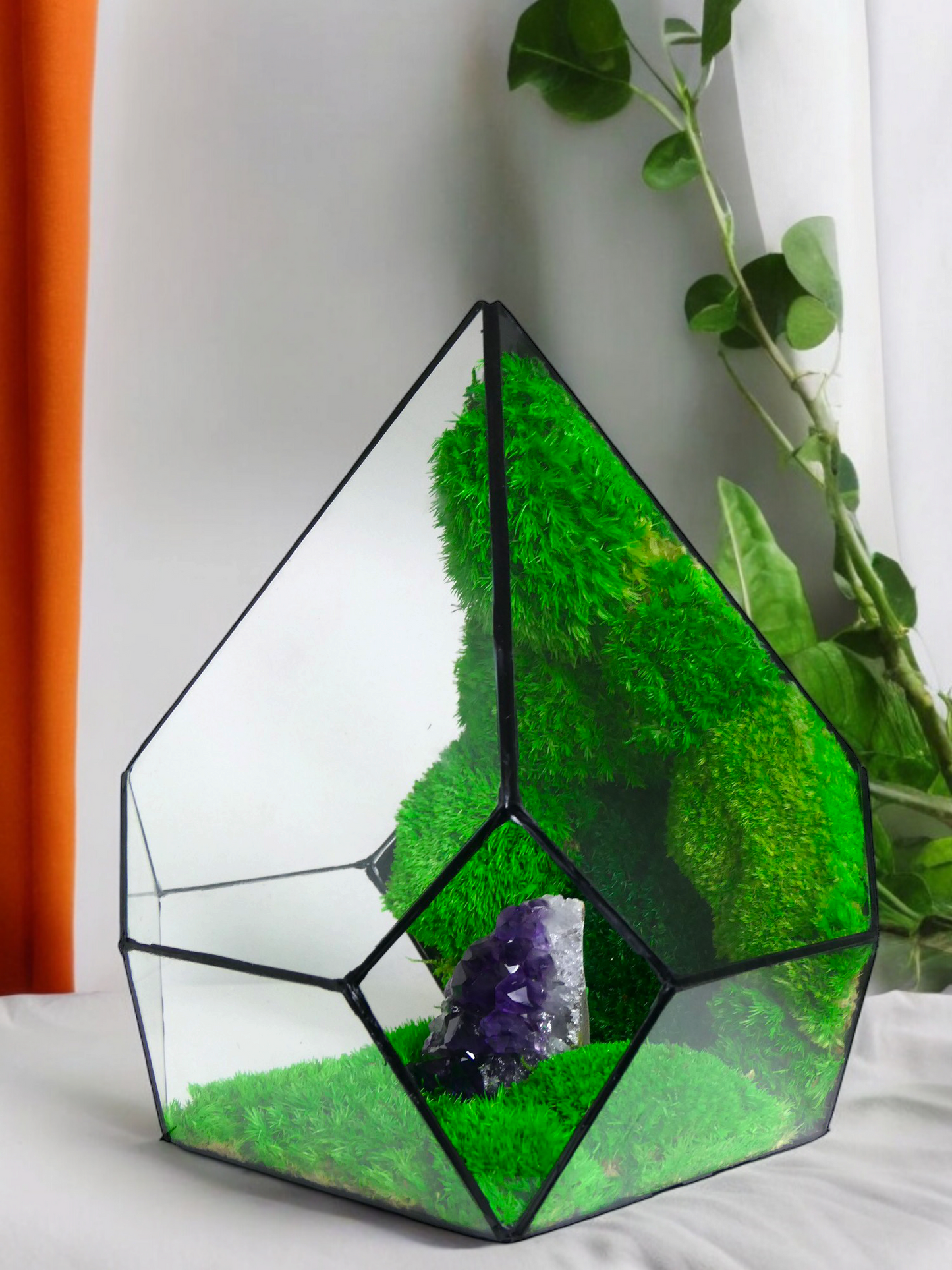 Terrarium A11 🌱 terrario di vetro terrario piante terrario