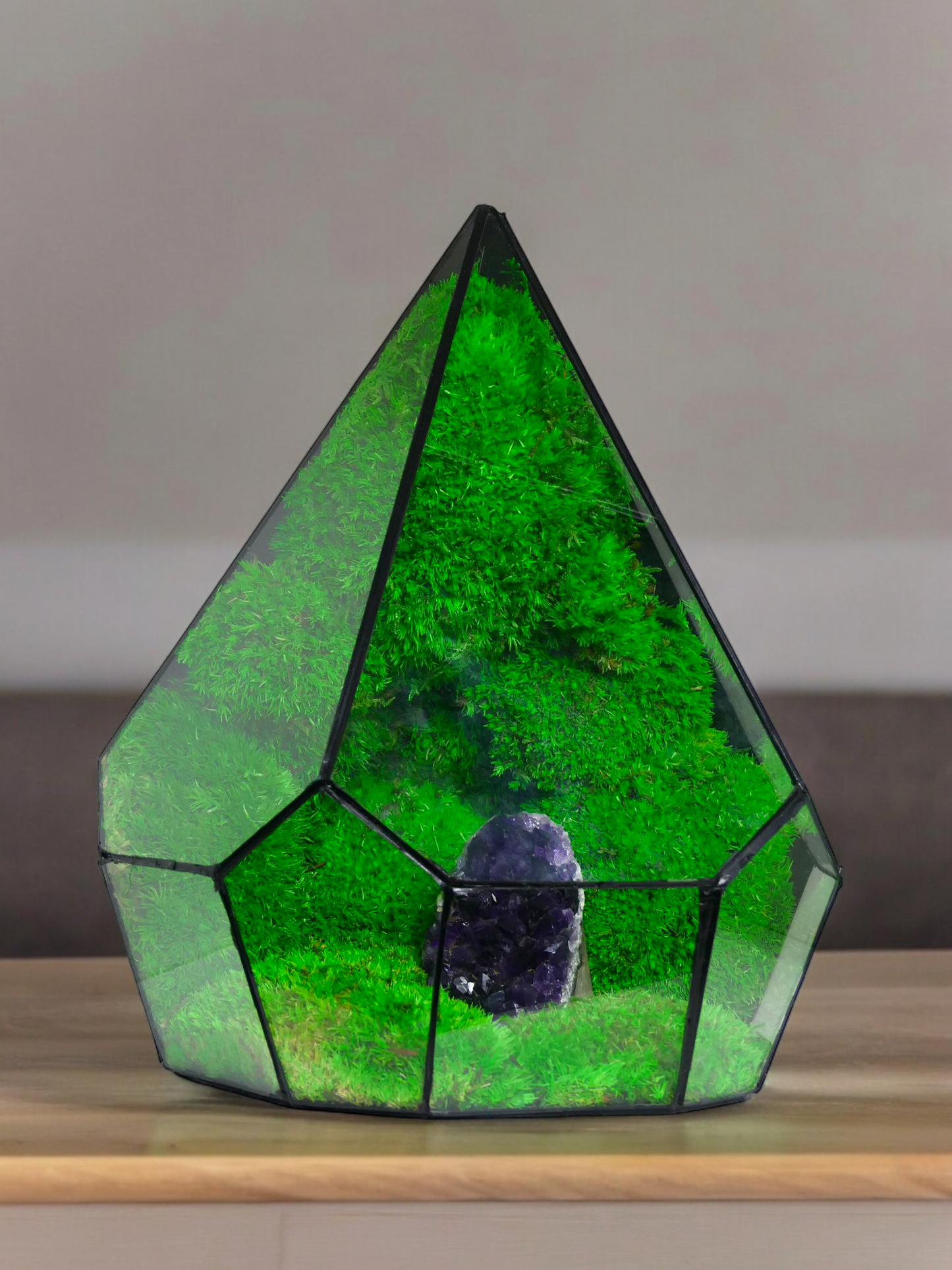 Terrarium A21 🌱 terrario di vetro terrario piante terrario