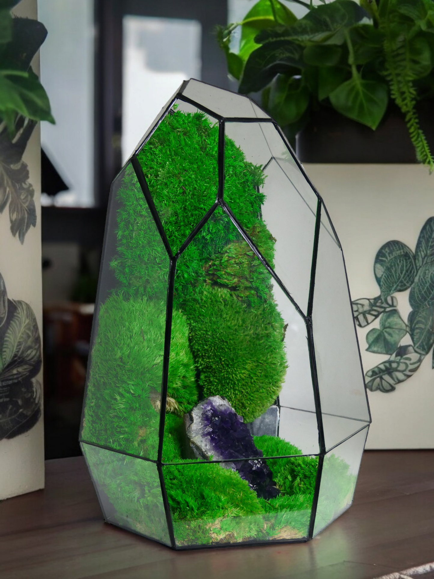 Terrarium A13 🌱 terrario di vetro terrario piante terrario