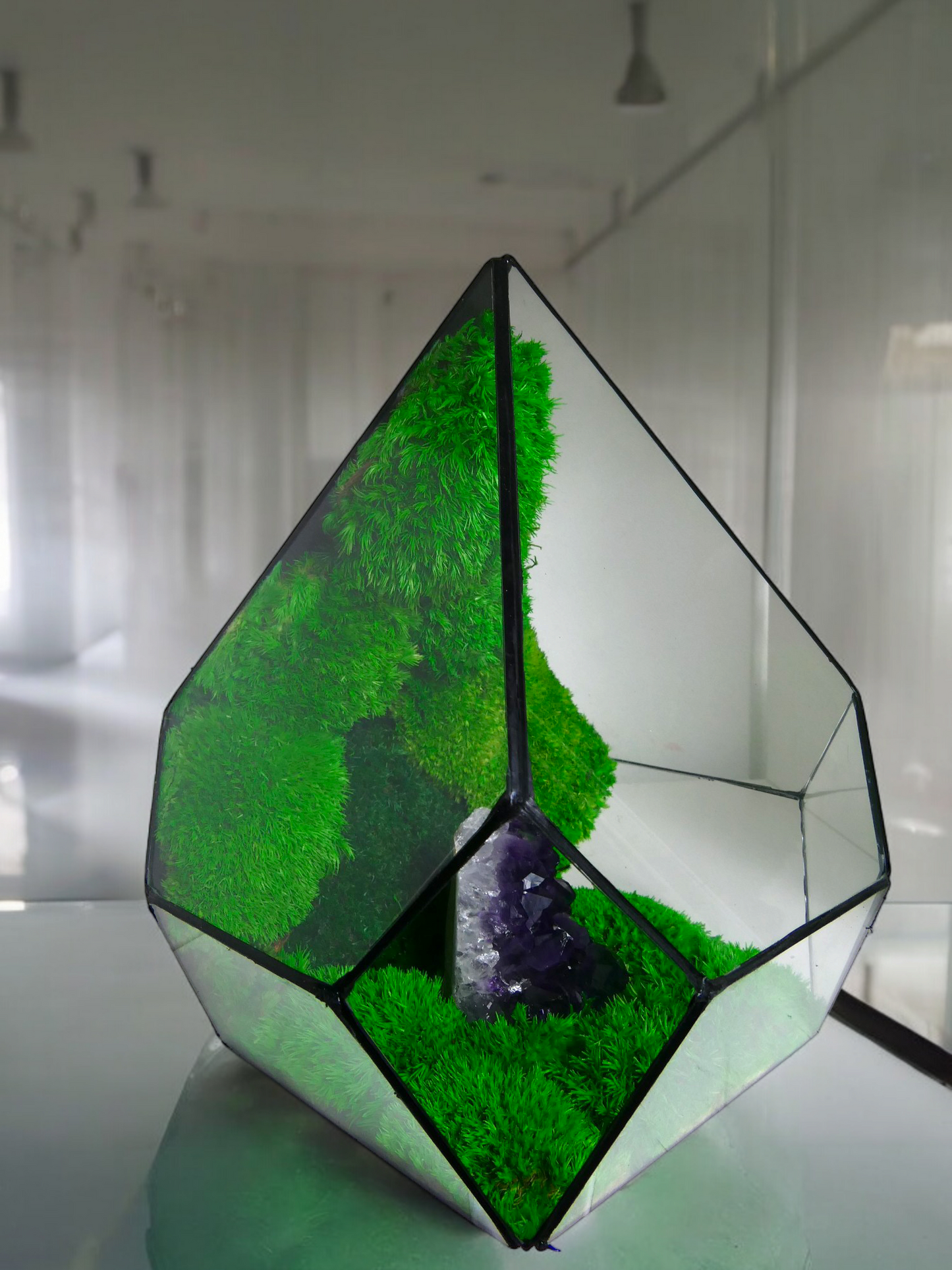 Terrarium A11 🌱 terrario di vetro terrario piante terrario